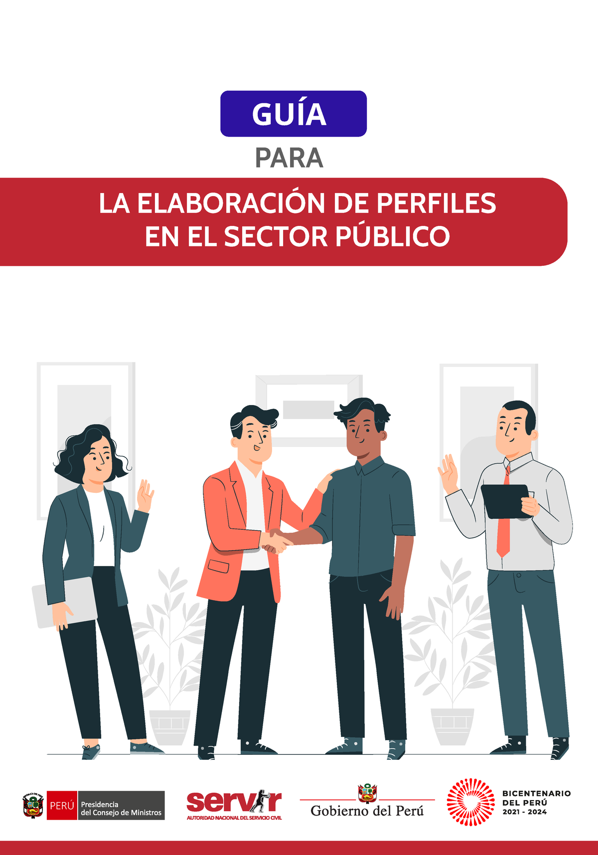 Guía Para La Elaboración De Perfiles En El Sector Público - LA ...