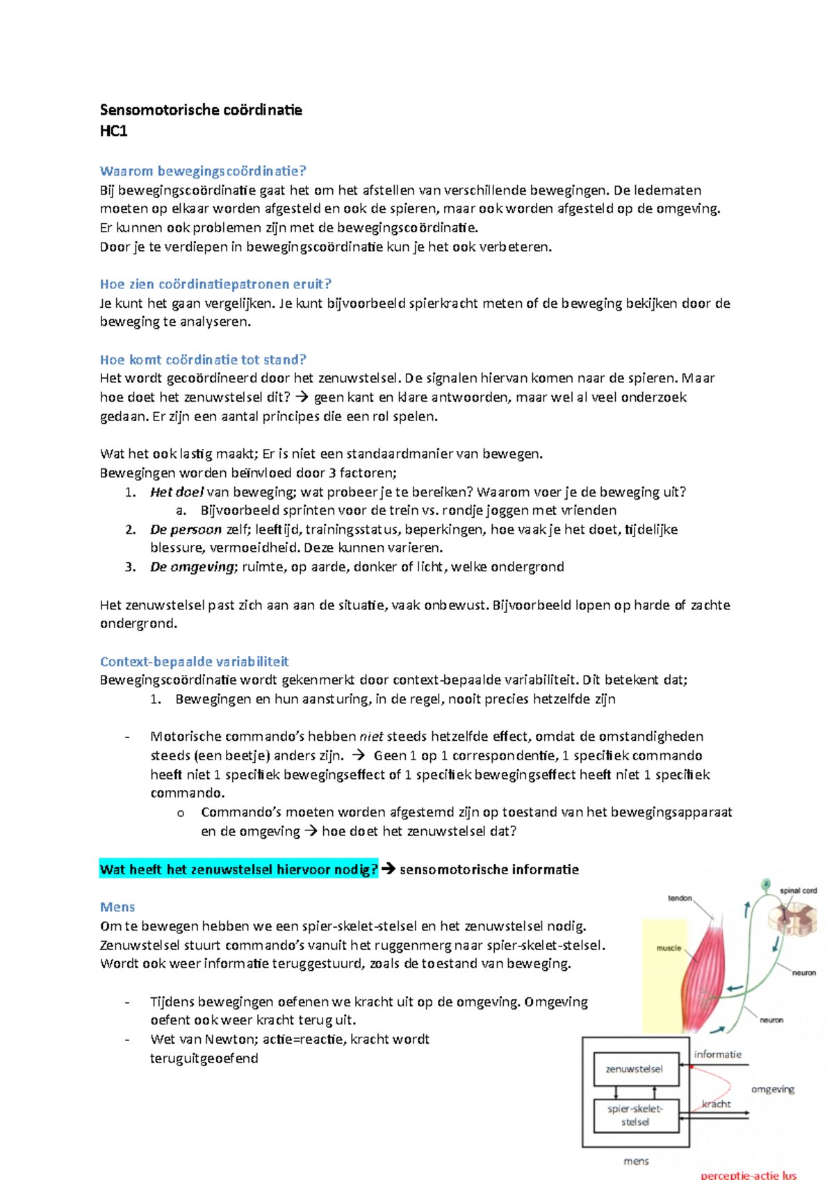 HC1 Sensomotorische Coordinatie - Sensomotorische Coördinatie HC Waarom ...