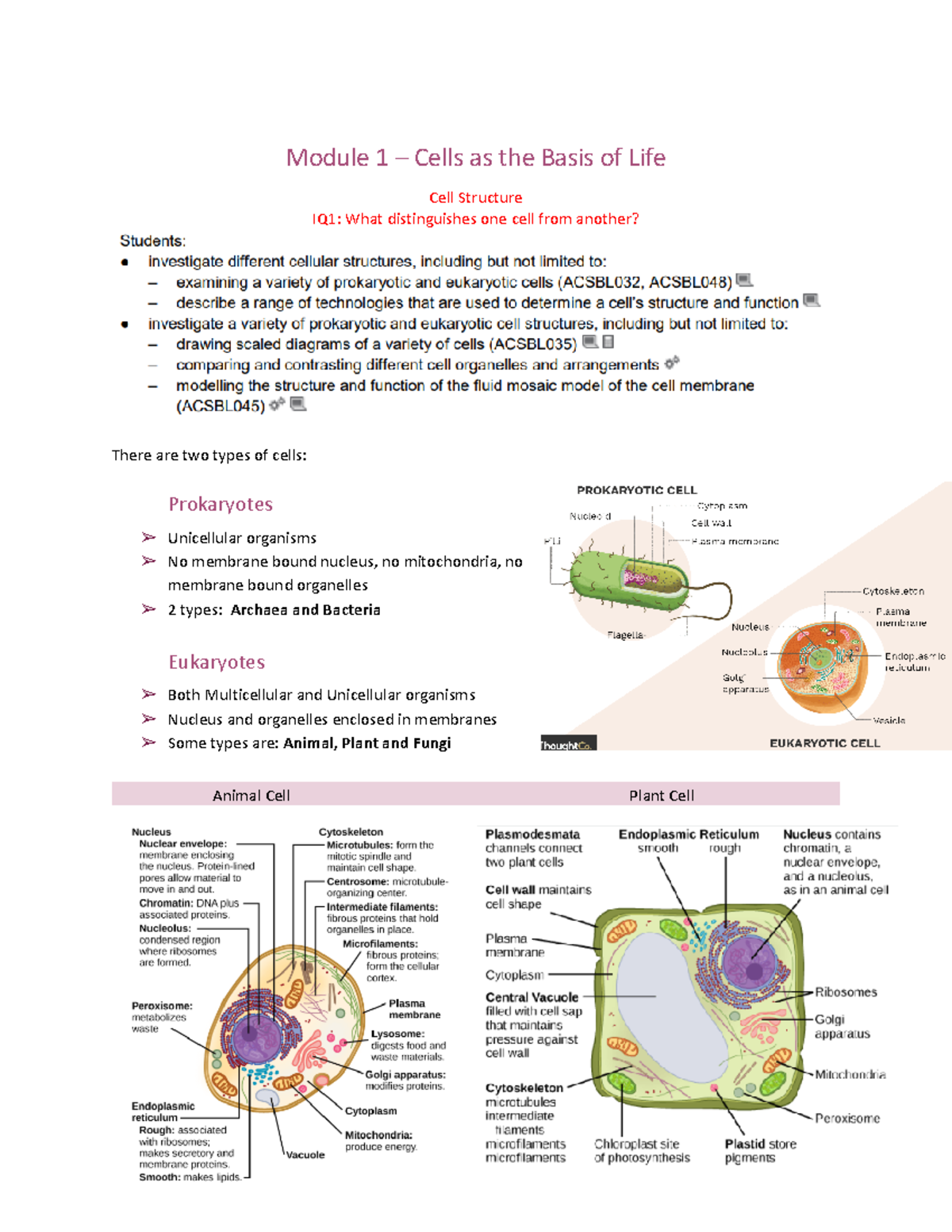 Prelim Biology - Module 1 – Cells as the Basis of Life Cell Structure ...