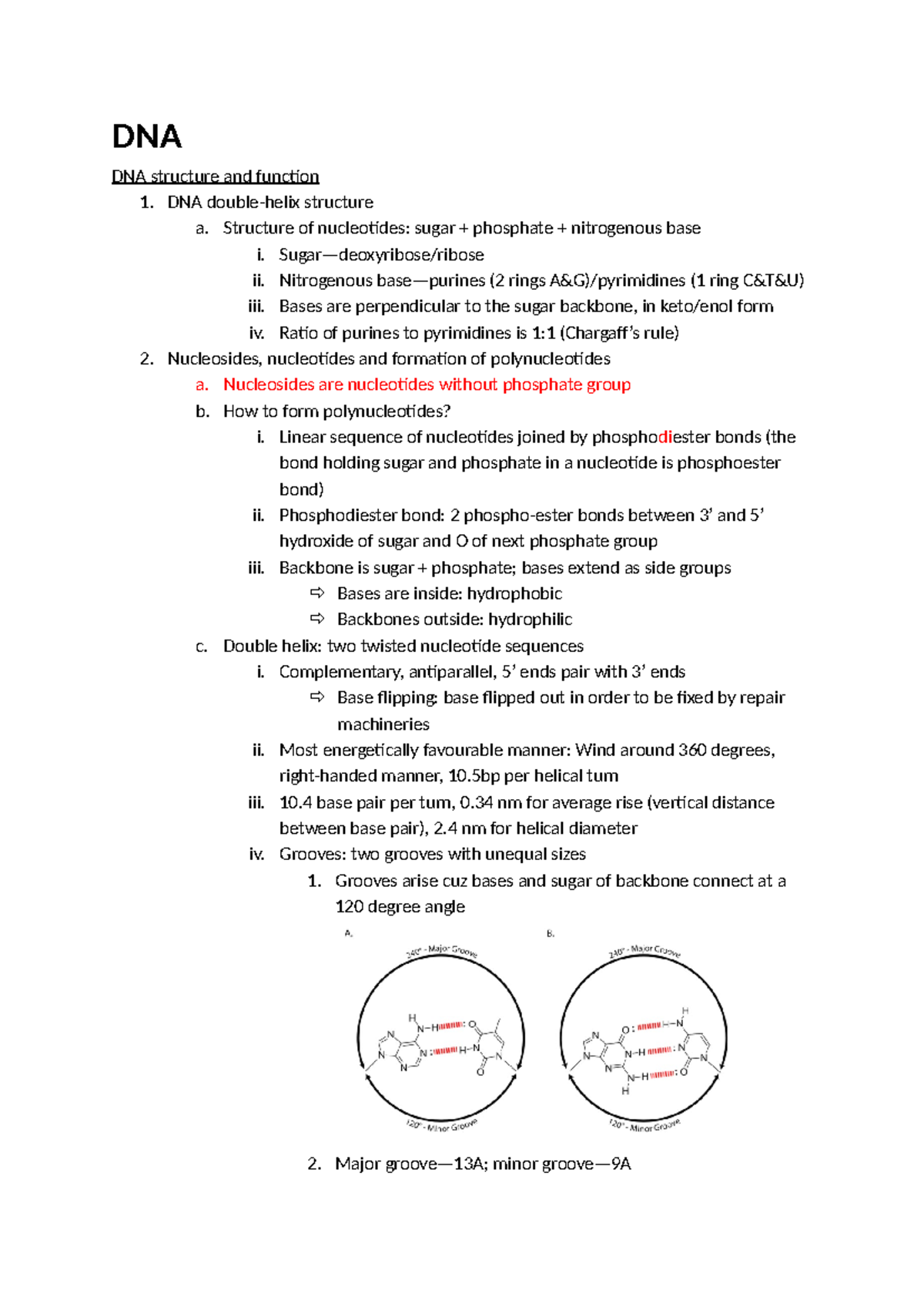 DNA - DNA DNA structure and function 1. DNA double-helix structure a ...