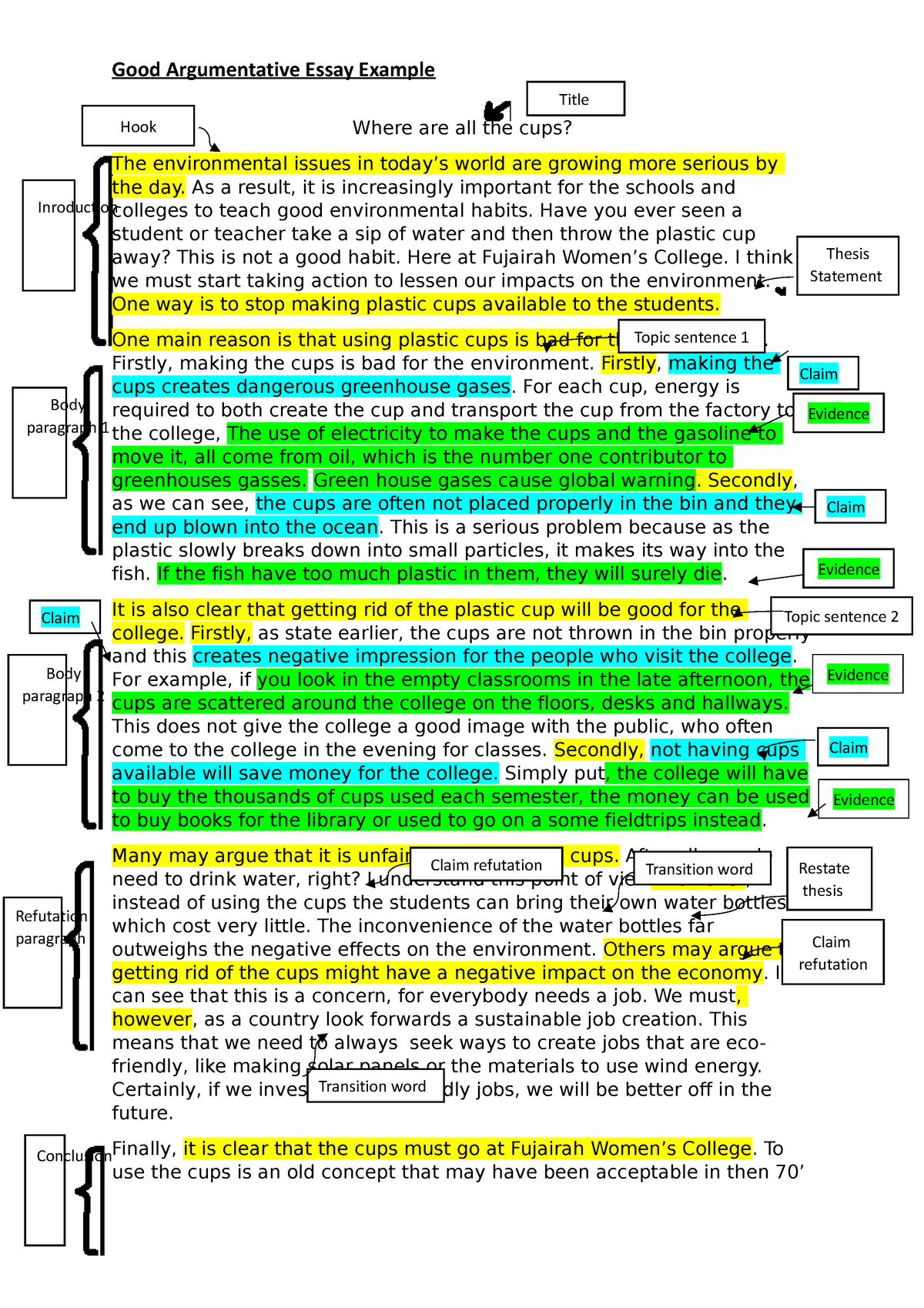 GOOD Argumentative Essay - Where are all the cups? The environmental ...