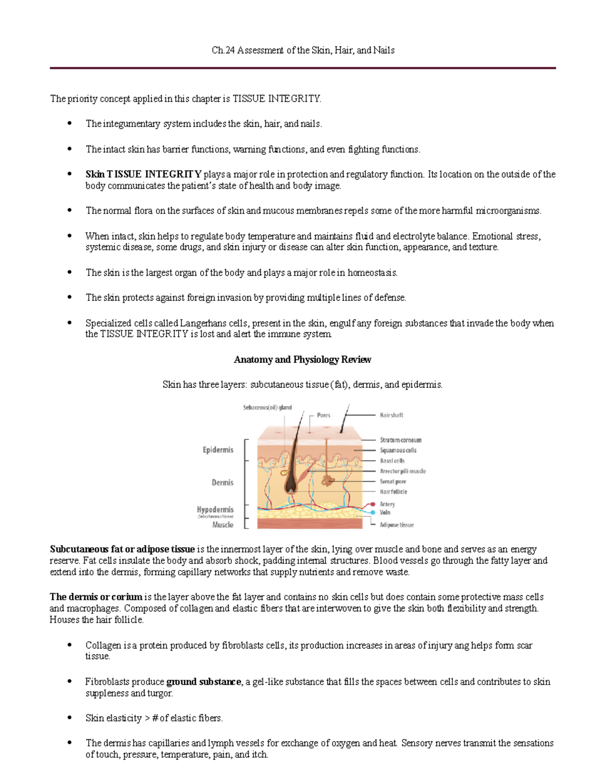 Med Surg- Ch.24 Assessment of the Skin, Hair, and Nails - Ch Assessment ...