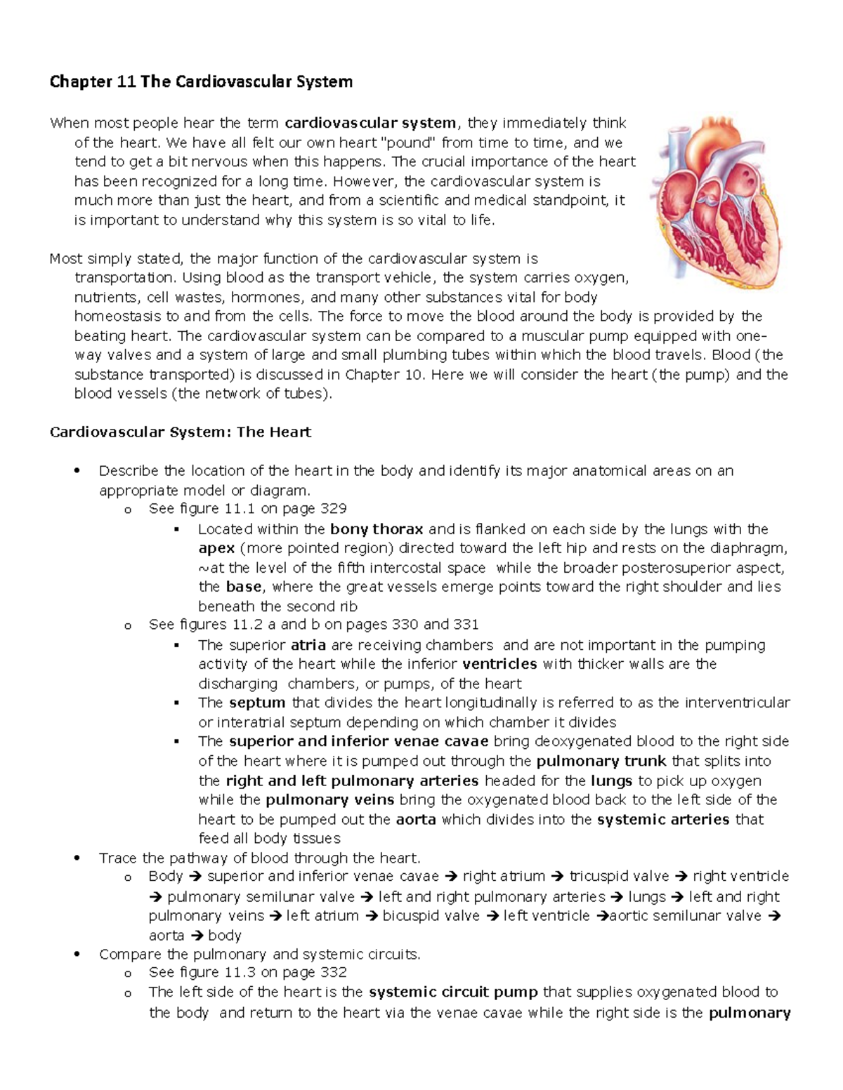 Chapter 11 The Cardiovascular System - Chapter 11 The Cardiovascular ...