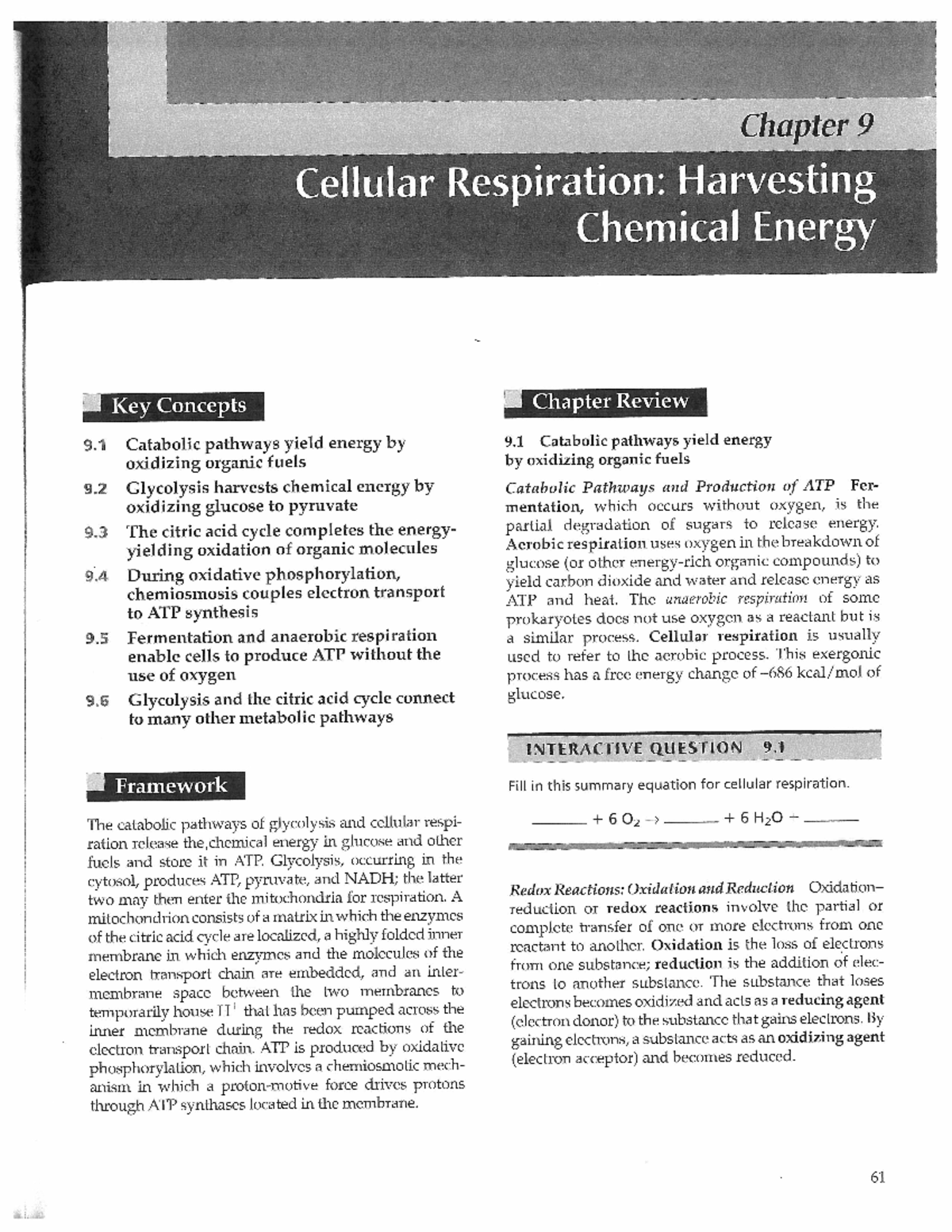 Chap 9 cell respiration - BIOL 200 - Studocu