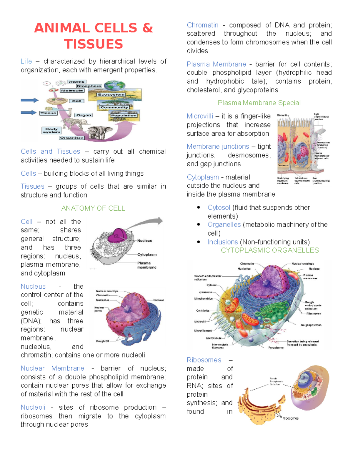 Lab Sci Lecture notes You can use this as your guide during quizzes