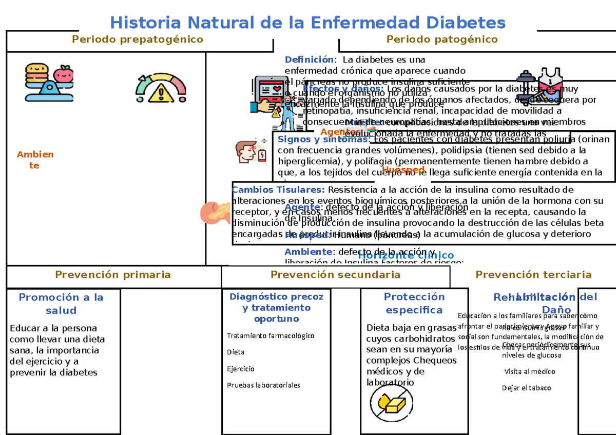 Historia Natural De La Enfermedad De Diabetes www.studocu.com