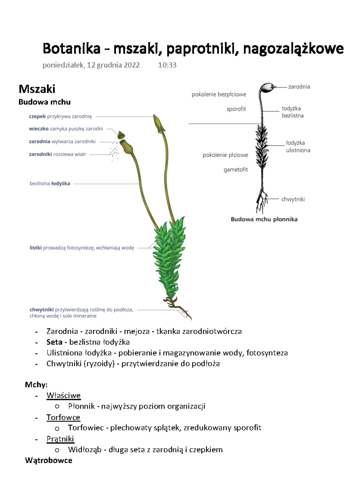 Mszaki I Paprotniki Sprawdzian Pdf