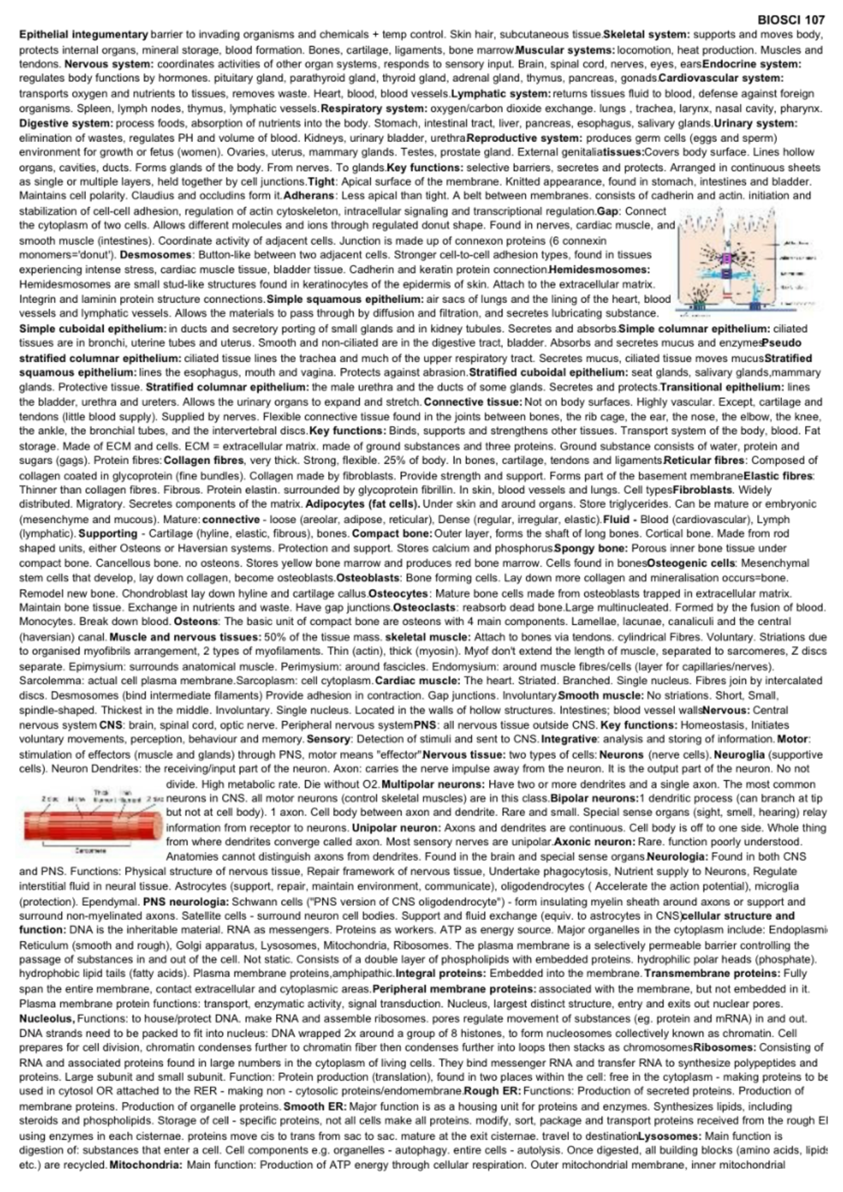 Biocheat - Summary Biology for Biomedical Science - Studocu