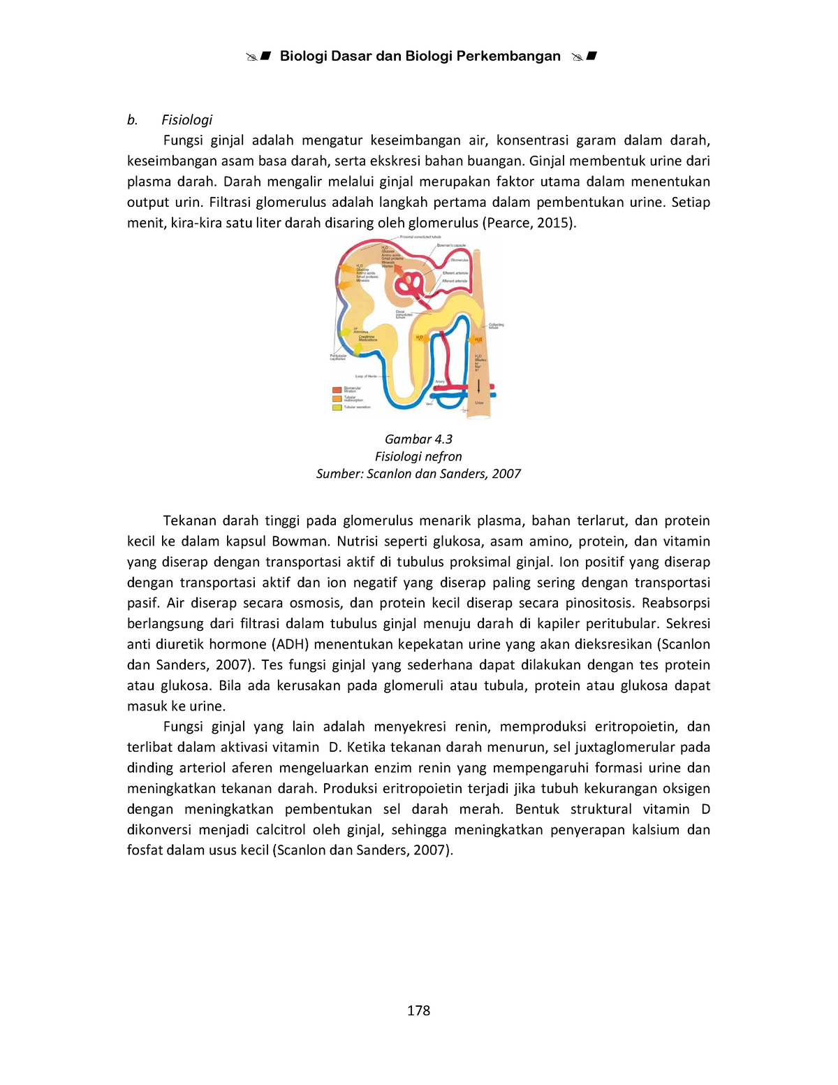 Anatomi Fisiologi SEL Manusia - Biologi Dasar Dan Biologi Perkembangan ...