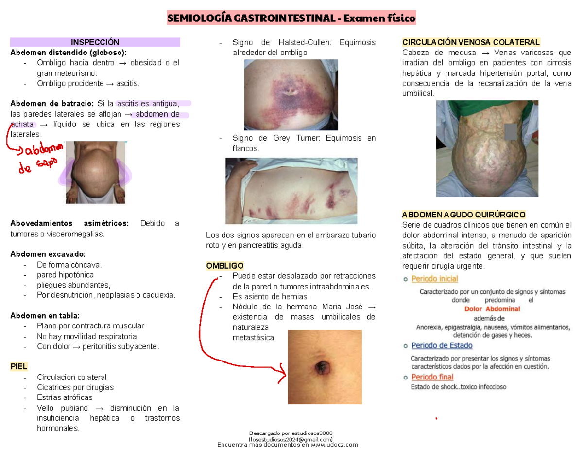 Semiolog A Gastrointestinal Semiolog A Gastrointestinal Examen F Sico L Inspecci N L Abdomen