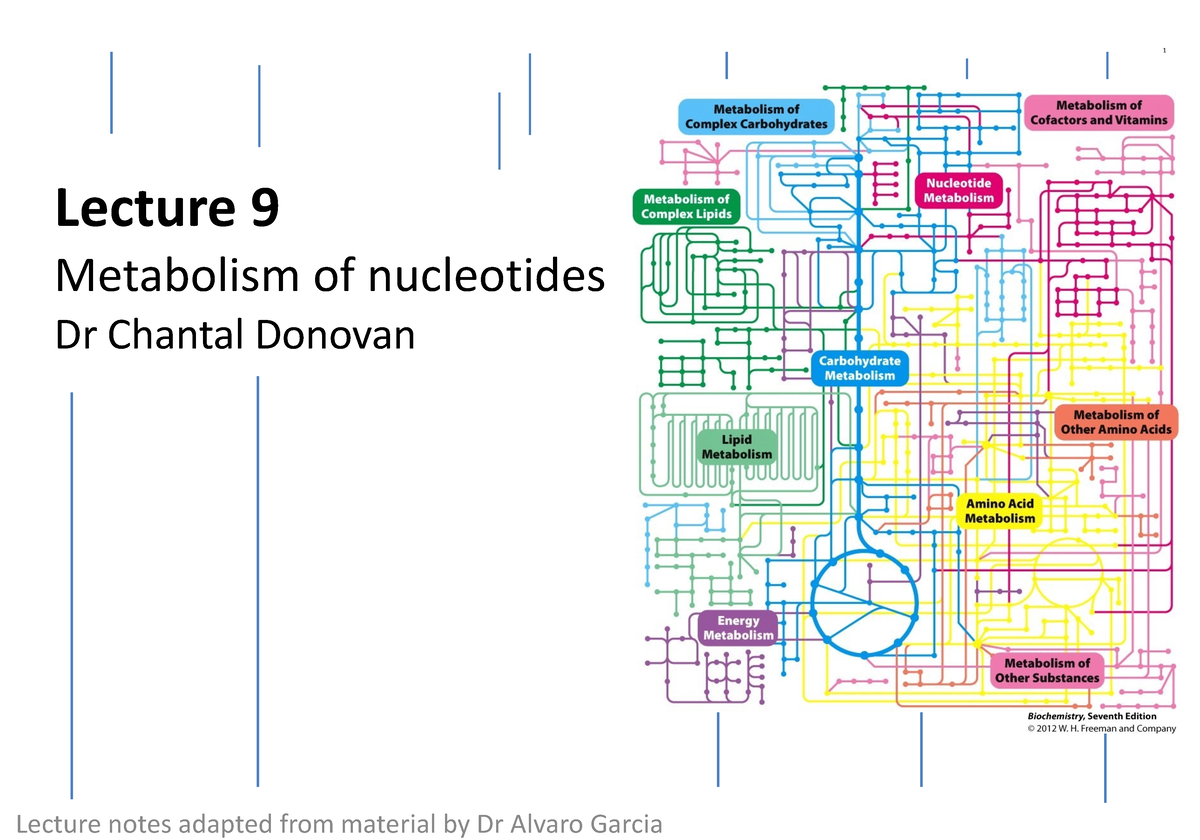 Lecture 14th December 2022 Metabolic Biochemistry Part 3 - 1 Lecture 9 ...