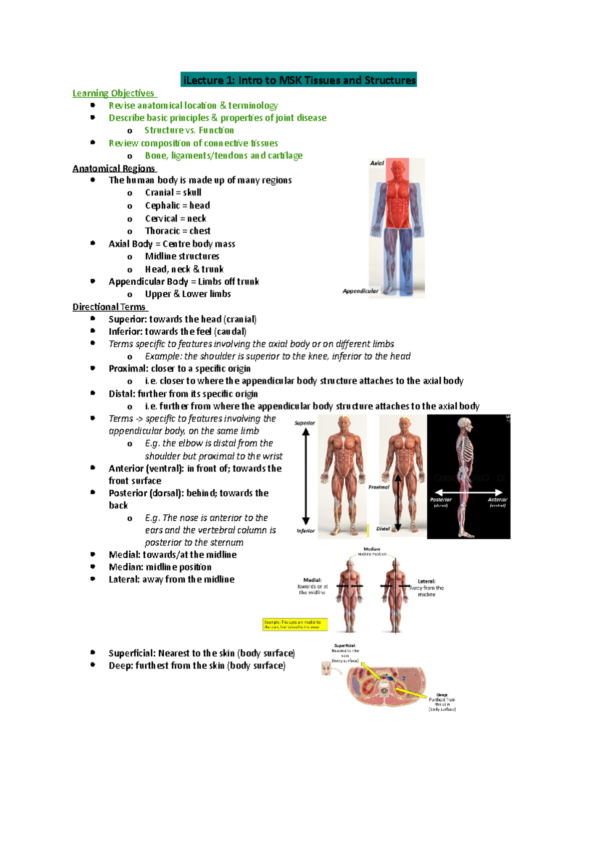 M1 - MSK lectures - tutorial questions that were present at the end of ...