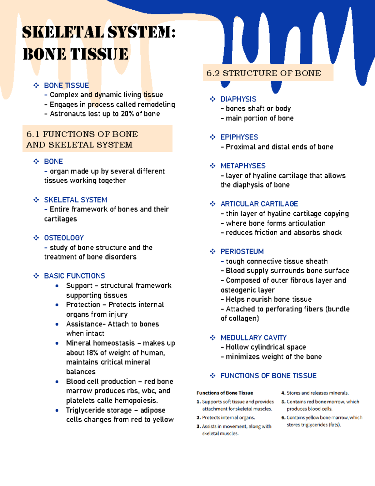 Skeletal System ; BONE Tissue Notes - SKELETAL SYSTEM: BONE TISSUE BONE ...