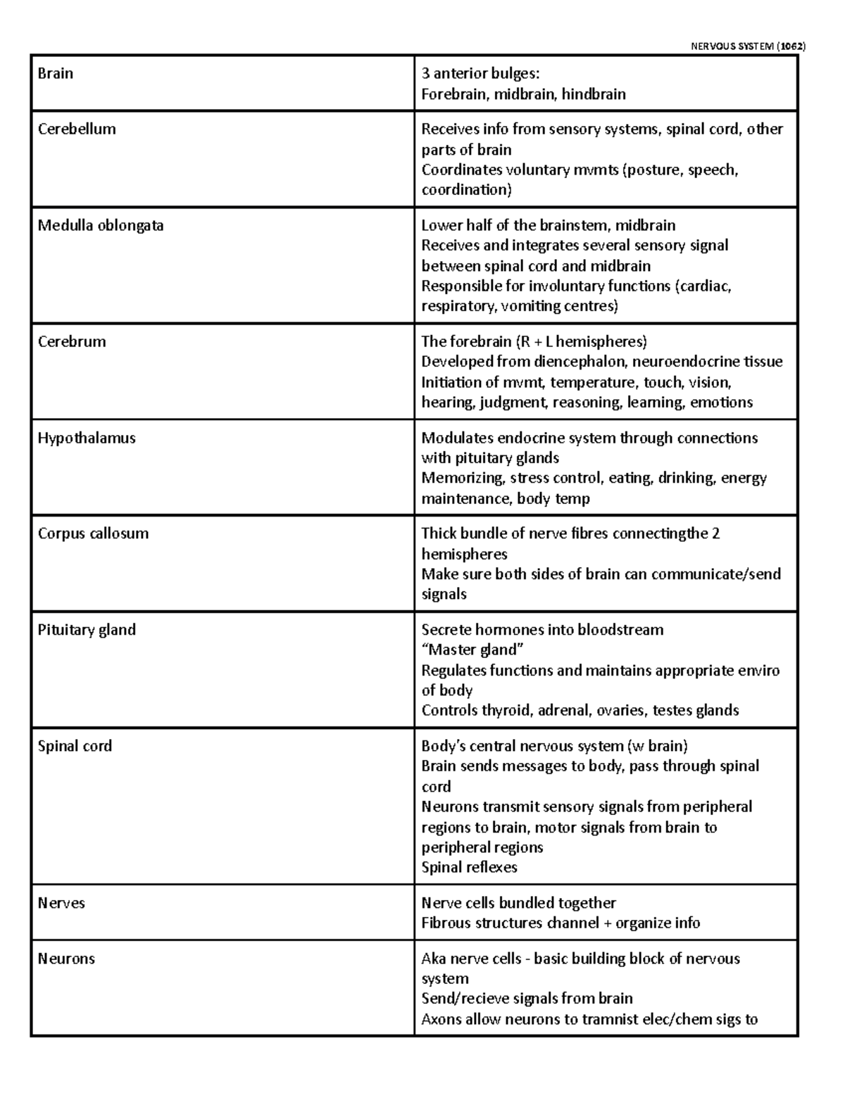 Nervous system notes (1062) - NERVOUS SYSTEM (1062) Brain 3 anterior ...