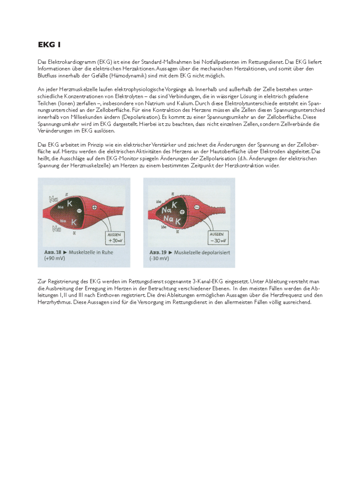 EKG - EKG Übersicht und typische EKG BIlder - EKG I Das