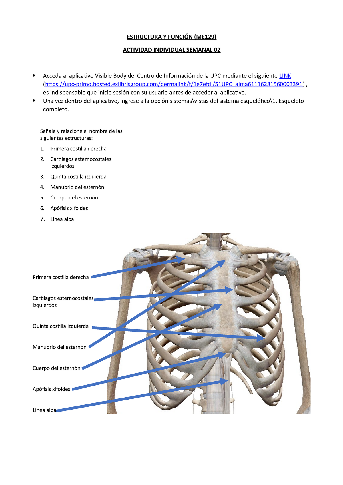 202102 ME129 Ey F Tarea Sem02 22 Completado - ESTRUCTURA Y FUNCIÓN ...