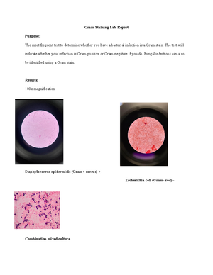 Micro Lab Report #2 - INTRODUCTION A Gram stain is a laboratory test ...