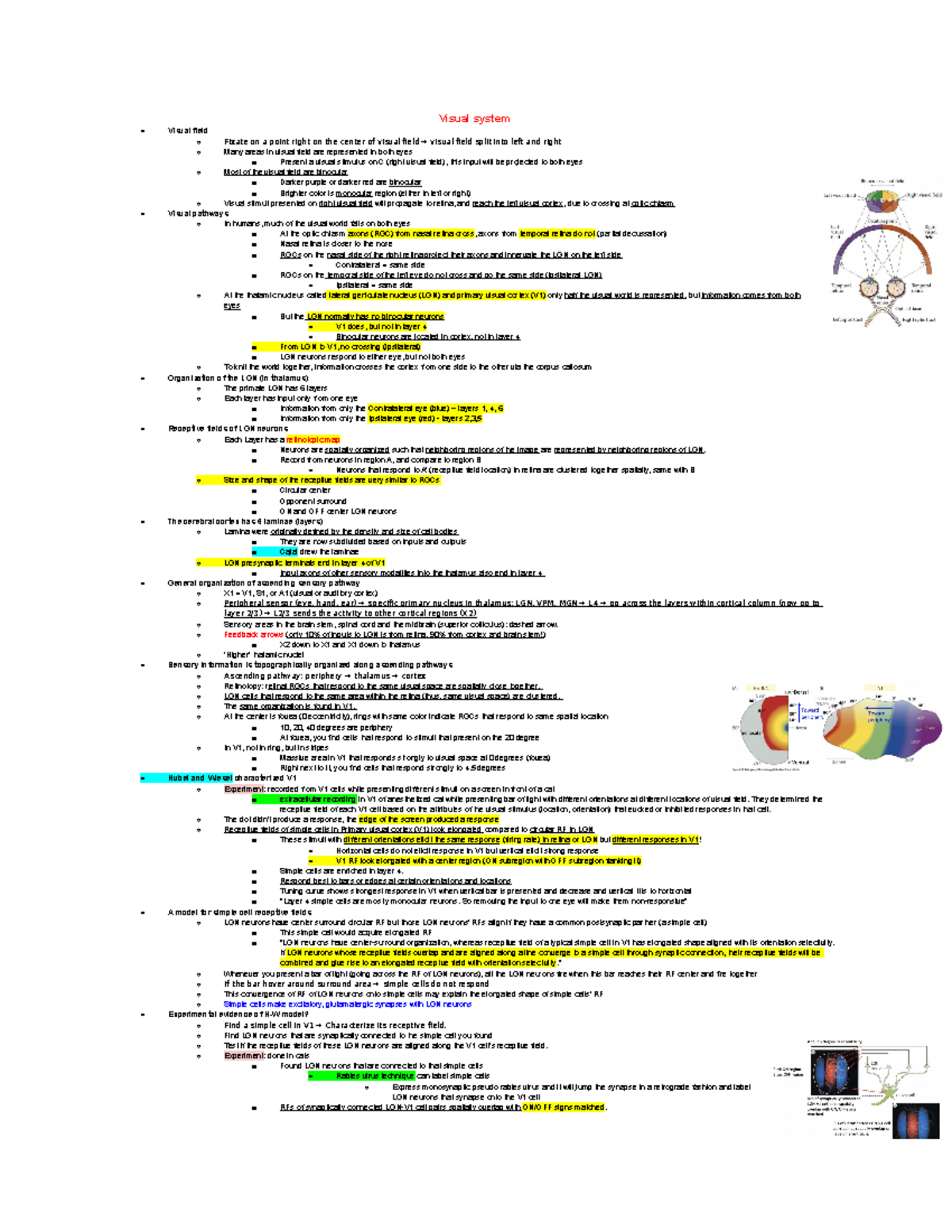 Bio 222 Q7 notes - Visual system Visual field Fixate on a point right ...