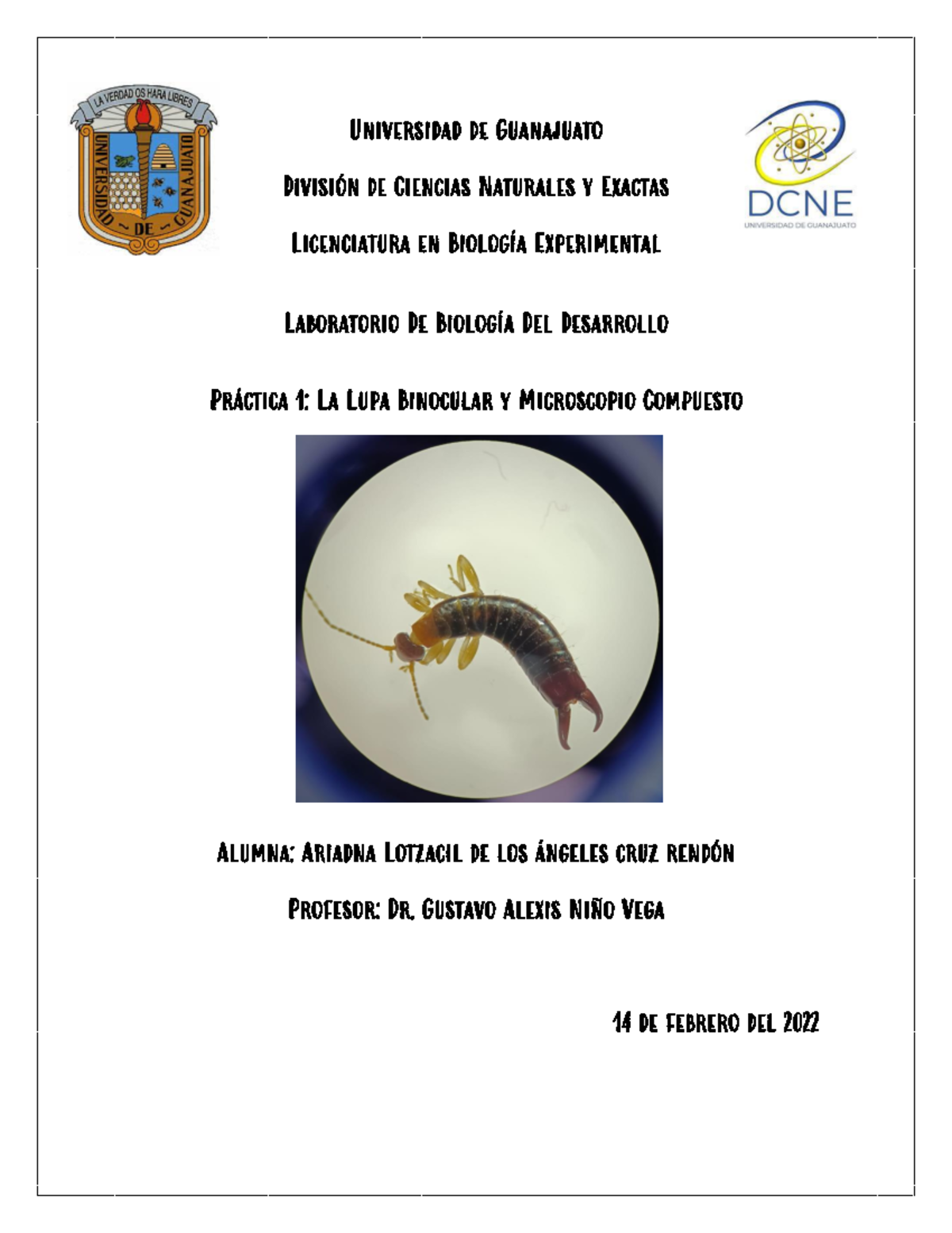 Práctica 1 Drosophila Melanogaster (Laboratorio Biología del Desarrollo