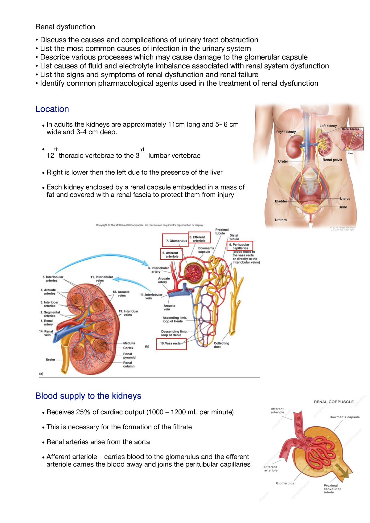 Causes and Complications of Urinary Tract Obstruction - Studocu