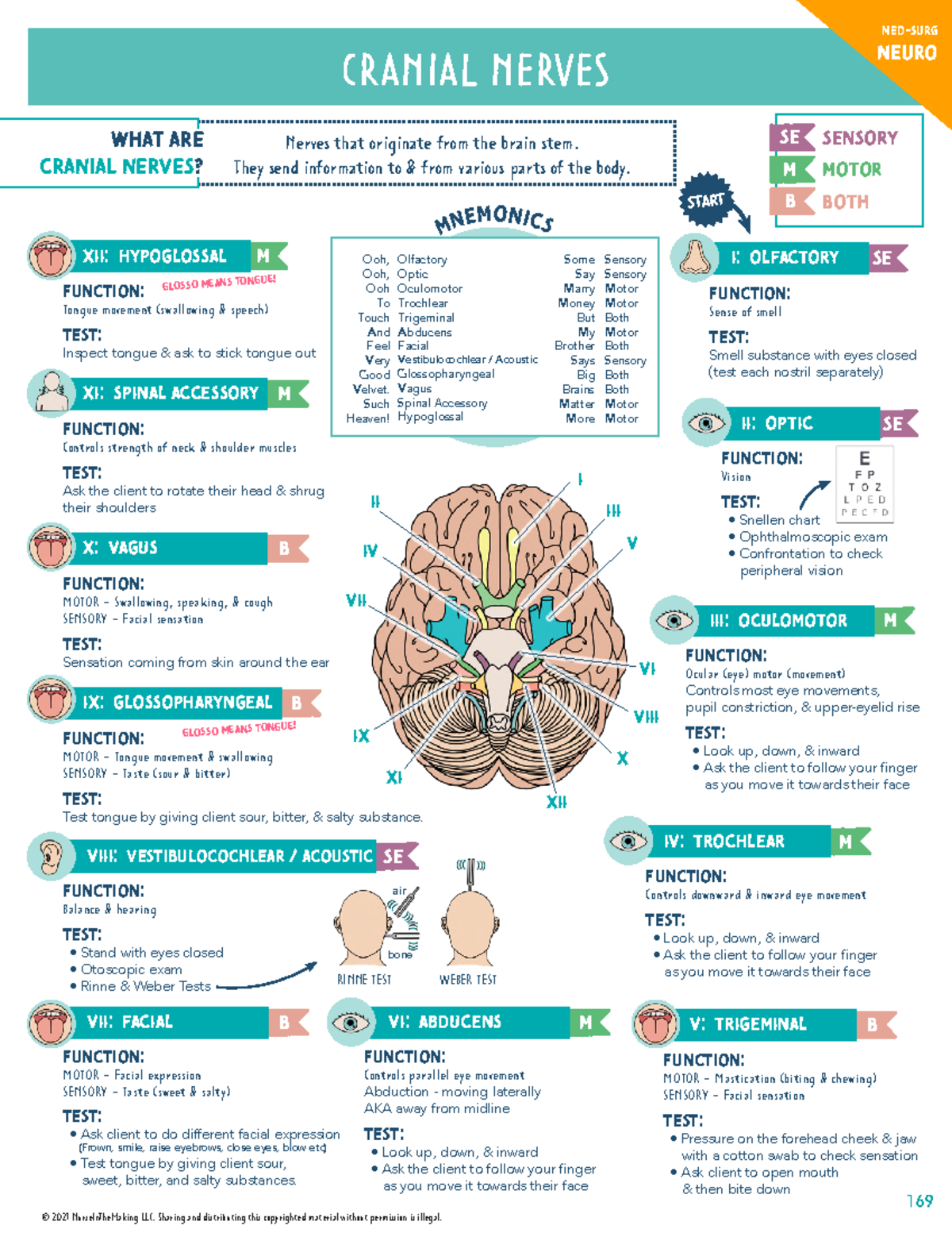 Cranial nerves - Deprecated API usage: The SVG back-end is no longer ...