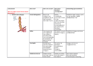 Oefentoets Zenuwstelsel - Oefentoets Anatomie & Fysiologie ‘Het ...