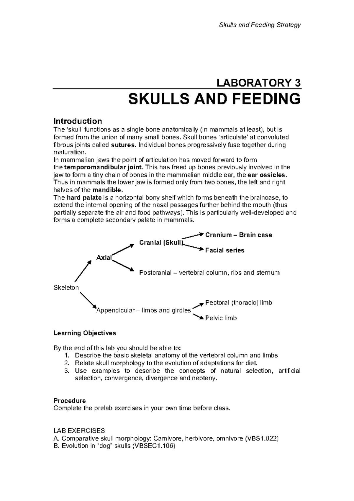 Skull Lab Quizlet 45 - 3czwfds