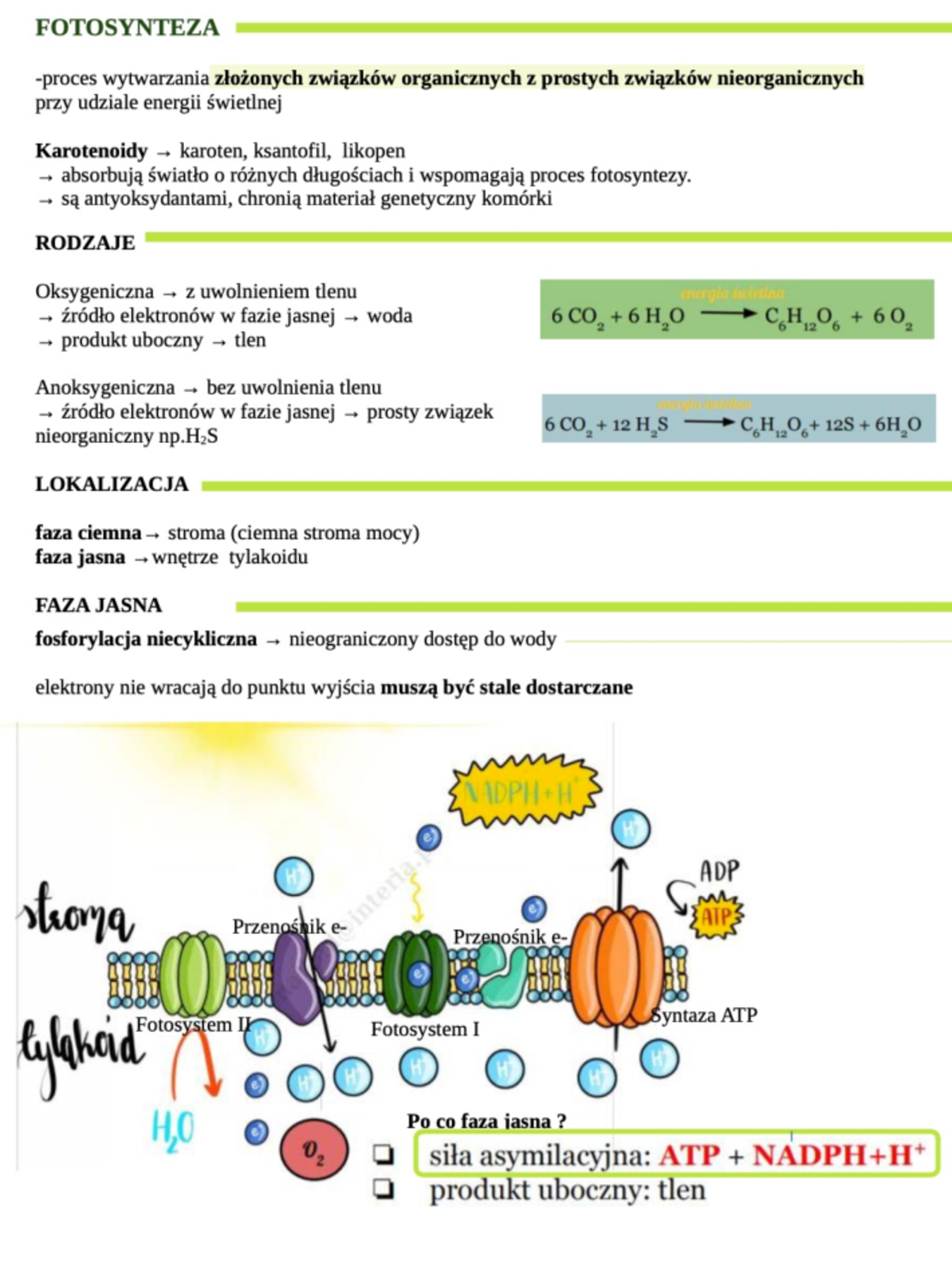 Plan Lekcji Fotosynteza Biologia Rozszerzona