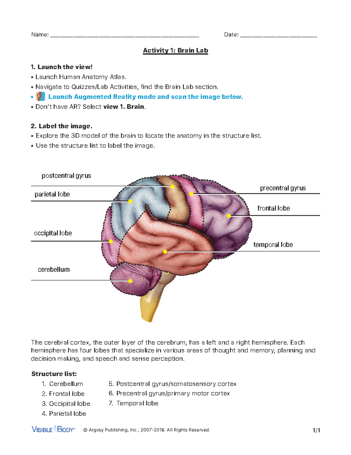 Brainlabactivity Lab for visible body © Argosy Publishing, Inc