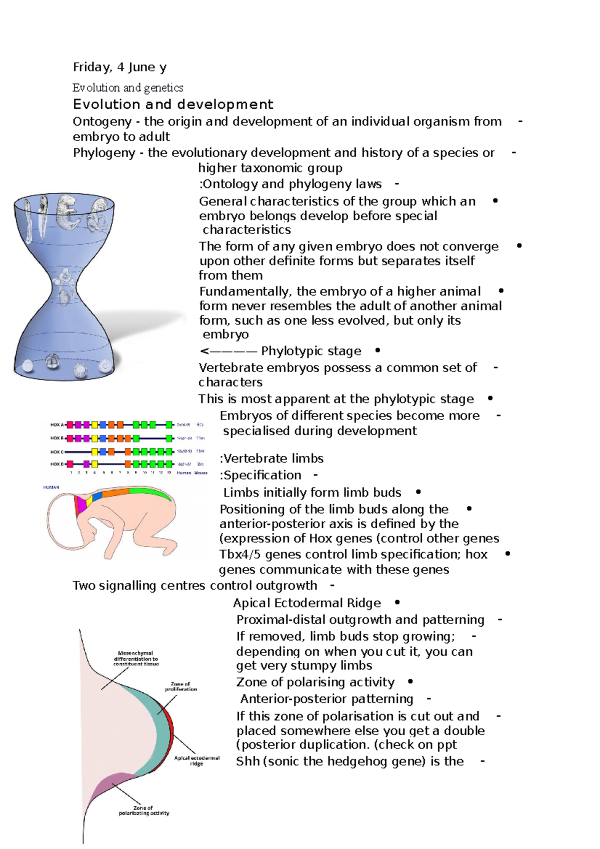 Evolution and genetics 6 - Friday, 4 June y Evolution and genetics ...
