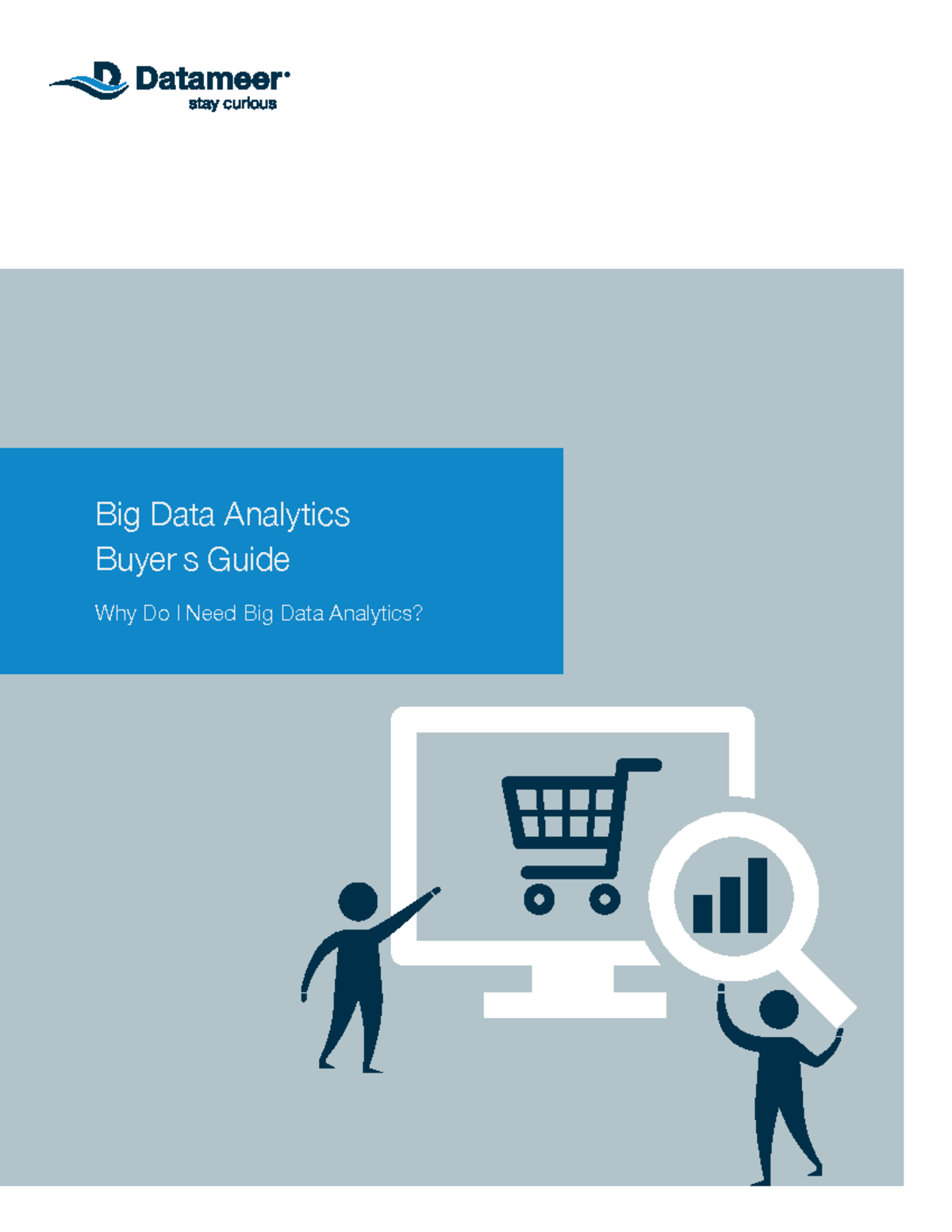 6 - sdcds - Big Data Analytics Buyer’s Guide Why Do I Need Big Data ...