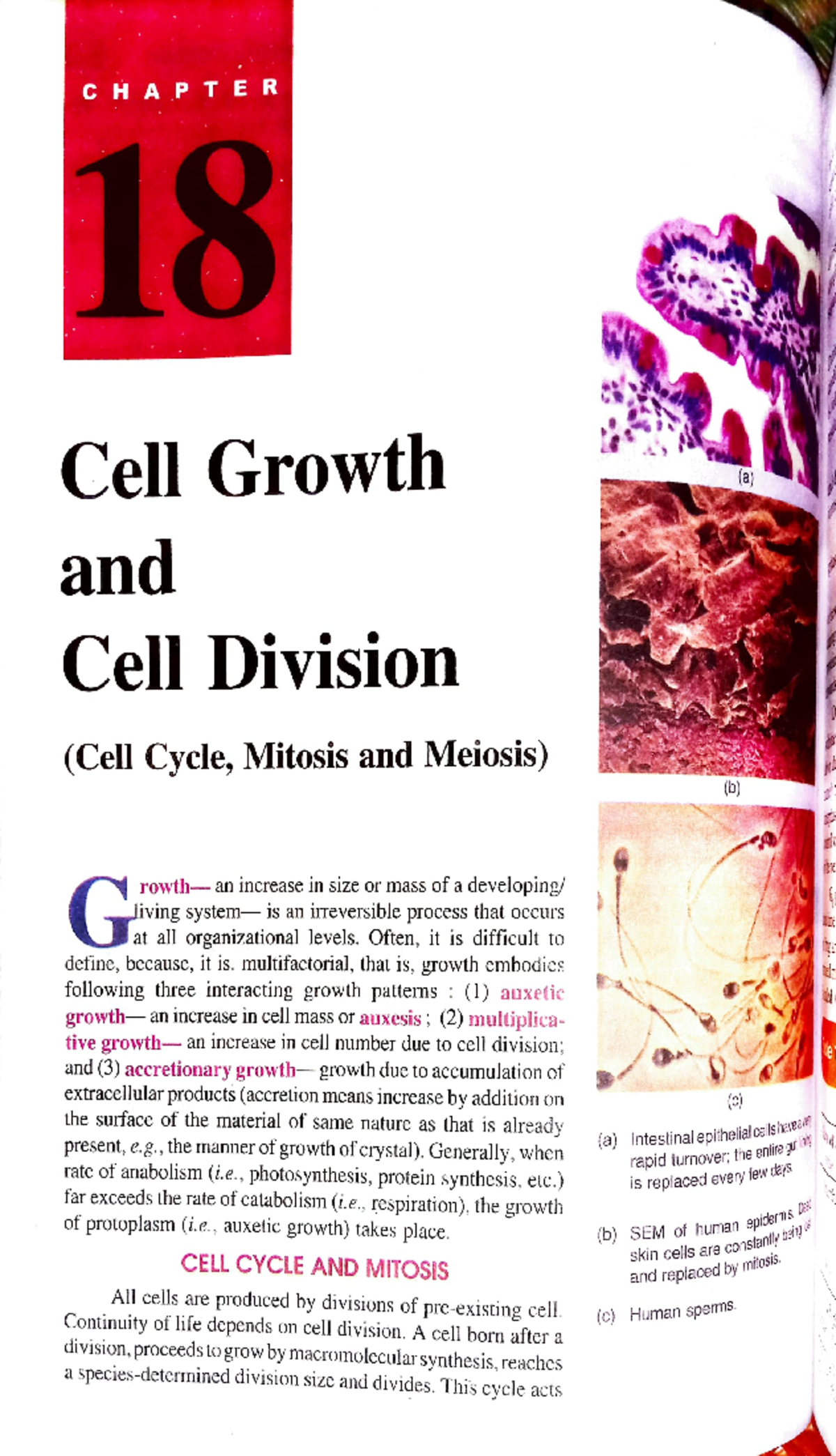 Cell growth and division - CHAPTER Cell Growth and Cell Division (Cell ...