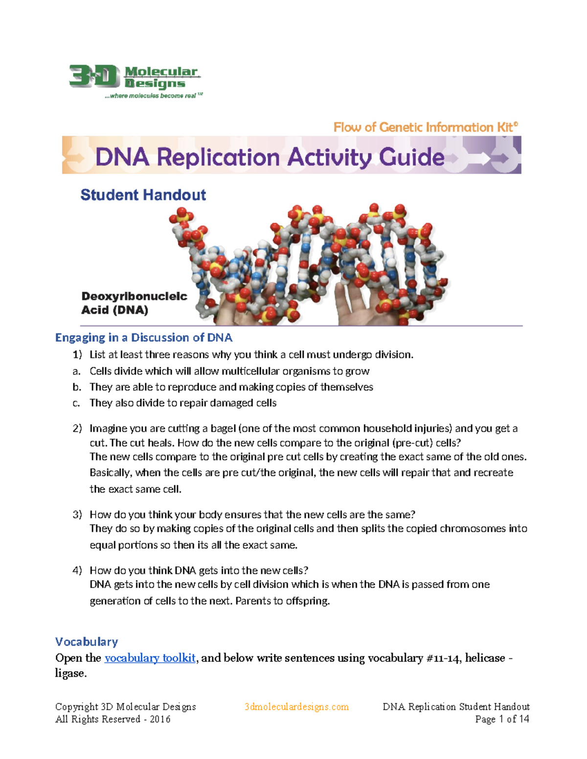 Jessica Zhang - DNA Replication Lab 2023 - Engaging in a Discussion of ...