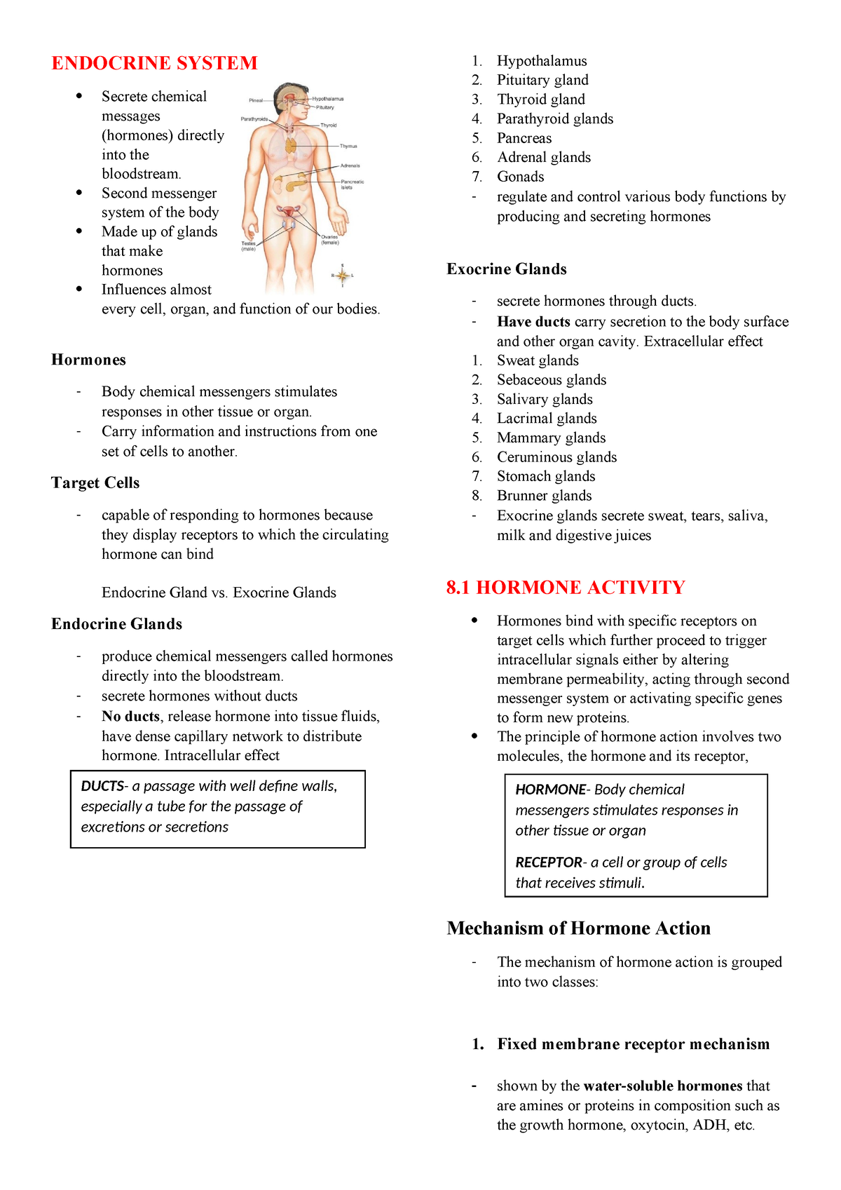 Endocrine System (BIO204) - ENDOCRINE SYSTEM Secrete chemical messages ...