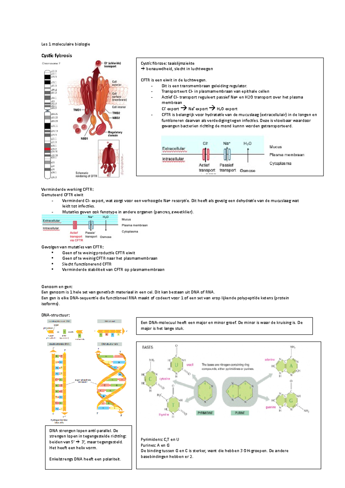 Les 1 Moleculaire Biologie - Les 1 Moleculaire Biologie Cystic Fybrosis ...