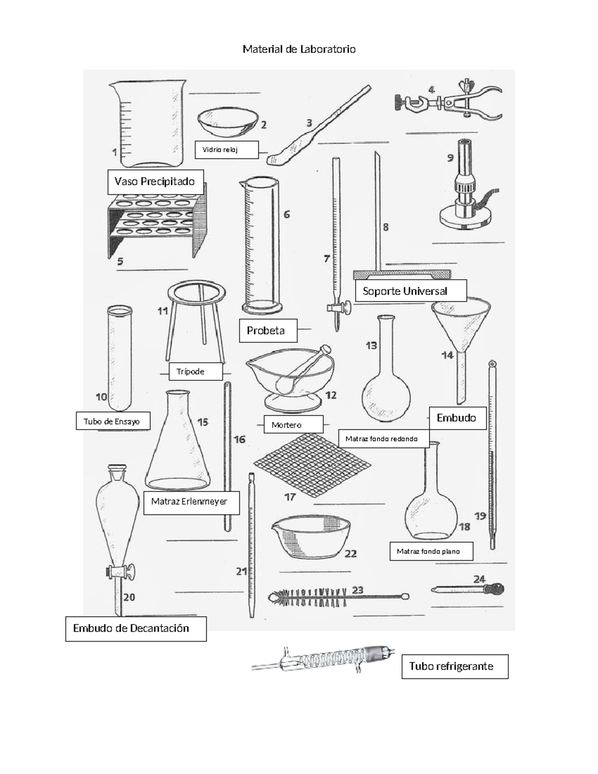 Material de Laboratorio - Bioquimica ust - Studocu