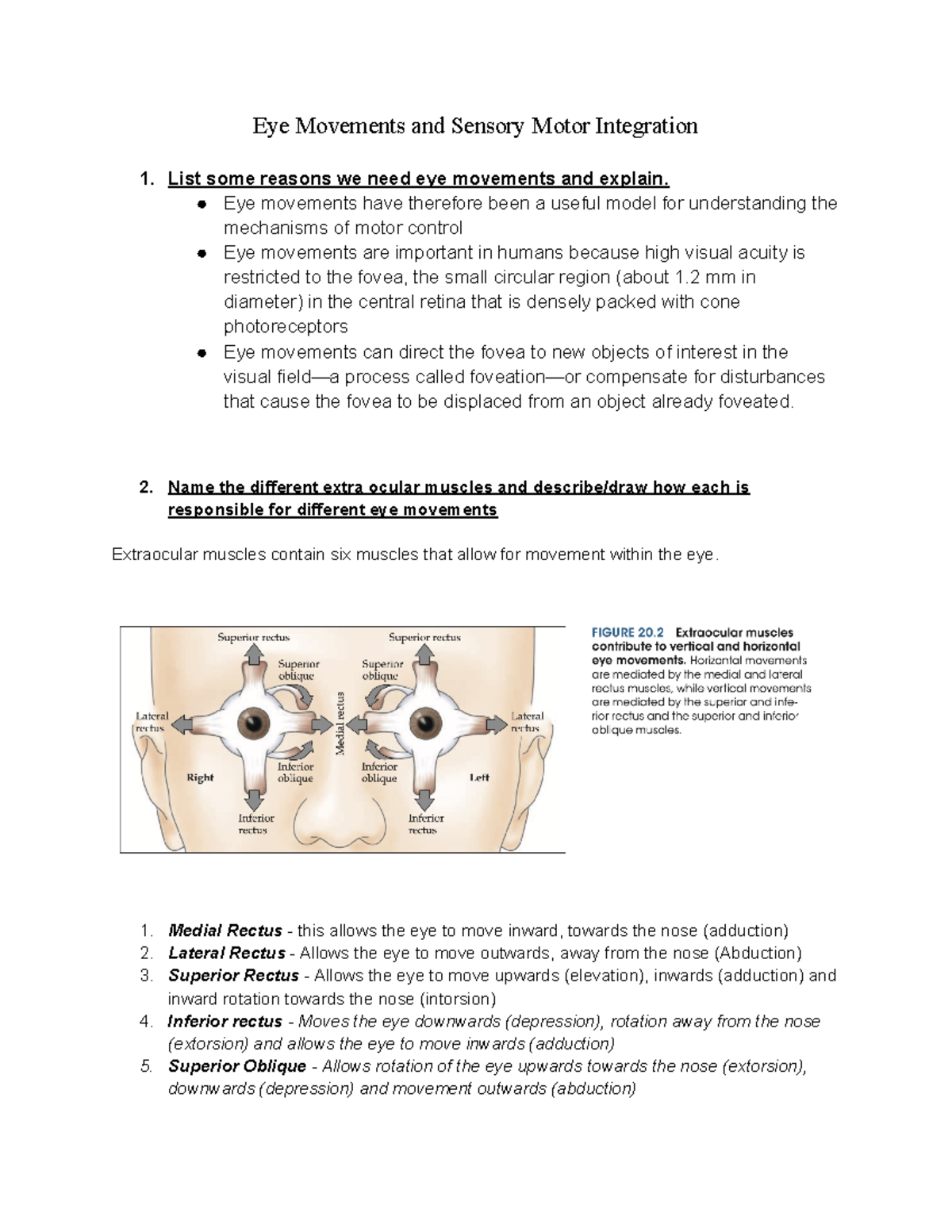 COGS1000 - notes/summary - Eye Movements and Sensory Motor Integration ...