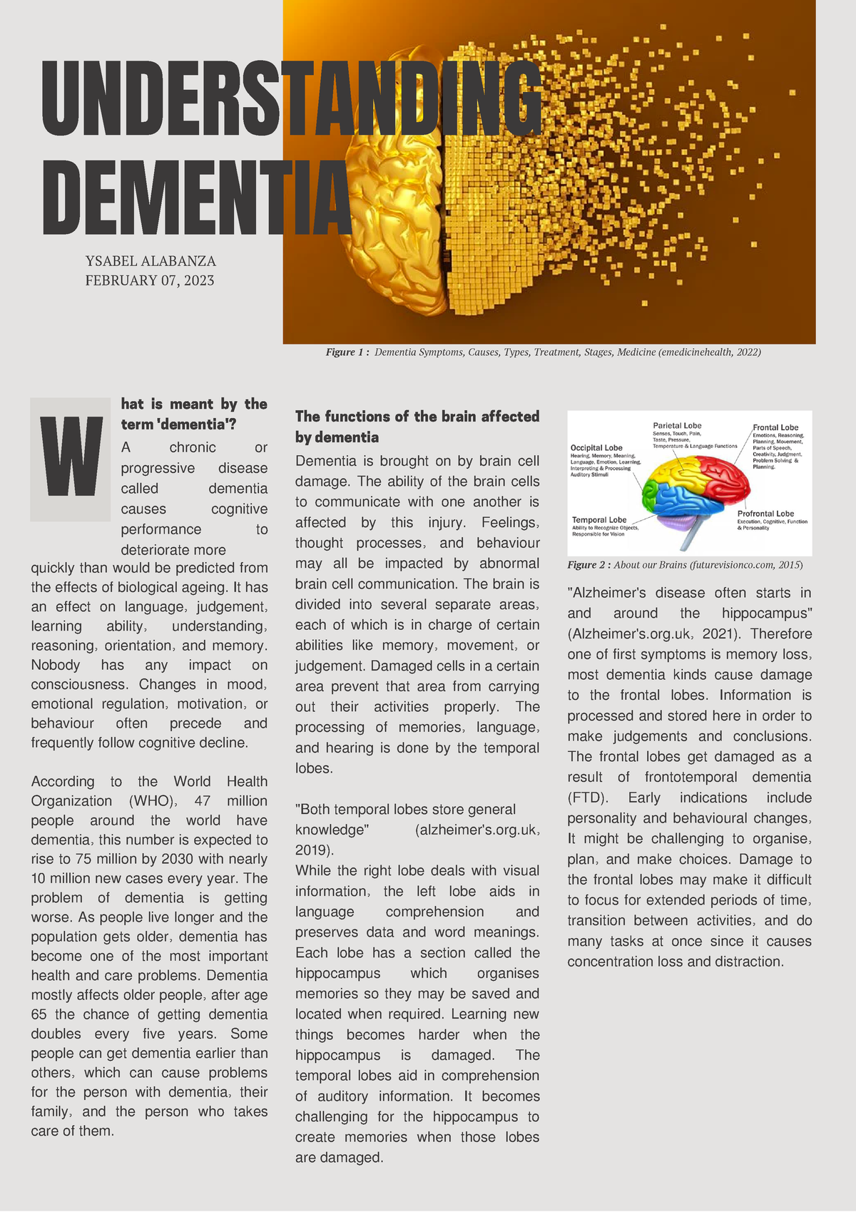 understanding dementia assignment