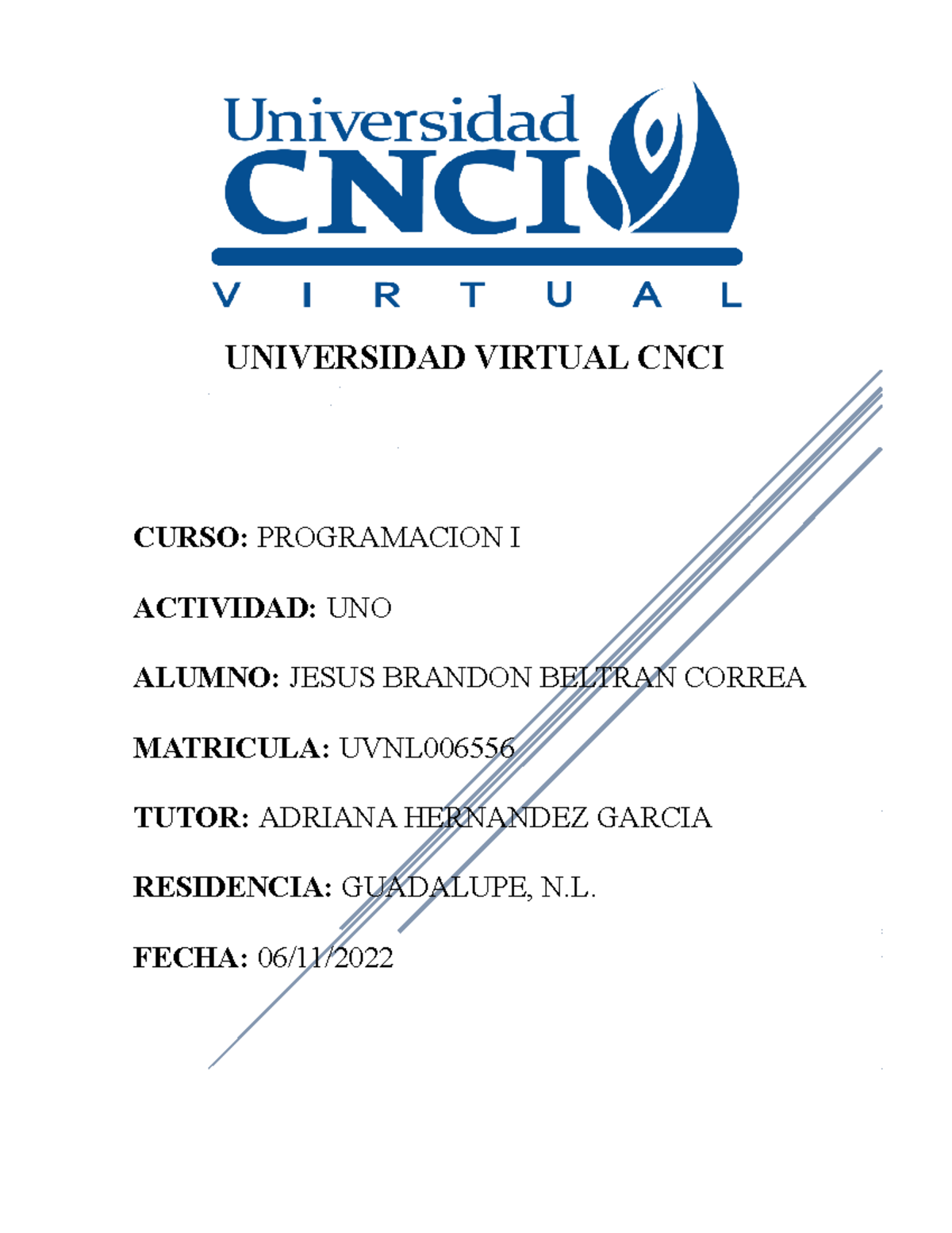 CNCI Actividad 1 - Programacion I - UNIVERSIDAD VIRTUAL CNCI CURSO ...