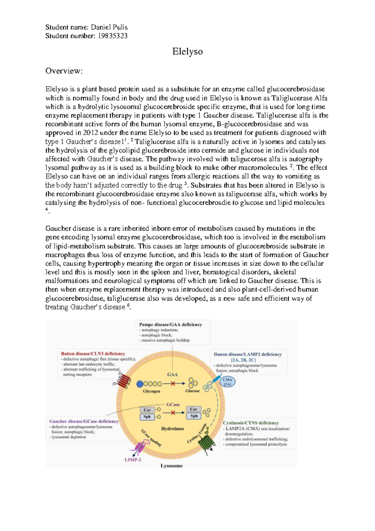 Metabolic Manipulator report - Student number: 19835323 Elelyso ...