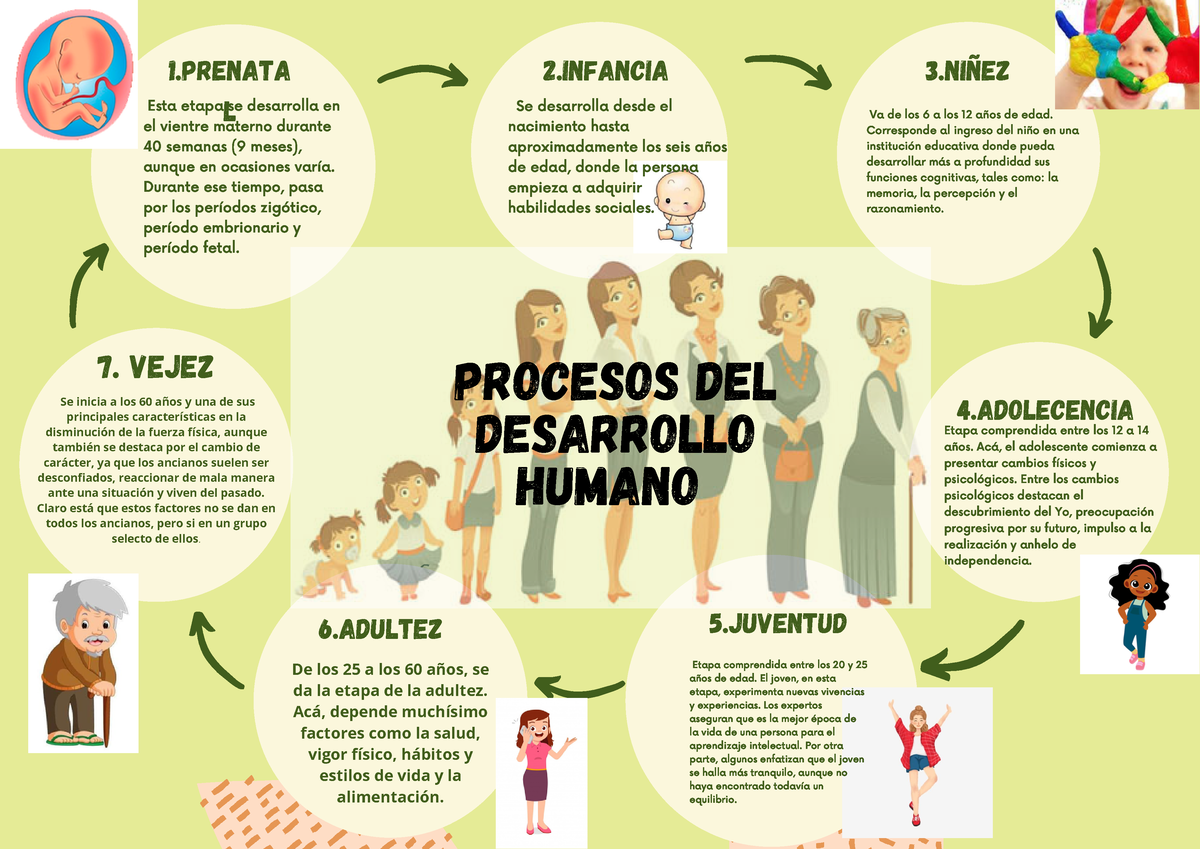 Organizador Gráfico Psicologia Procesos del Desarrollo Humano Esta