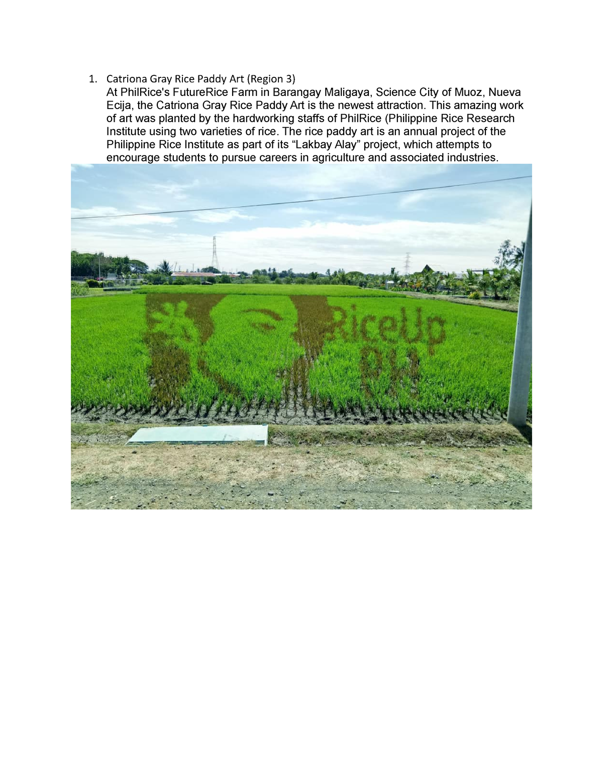 land-art-land-art-in-region-of-philippines-catriona-gray-rice-paddy