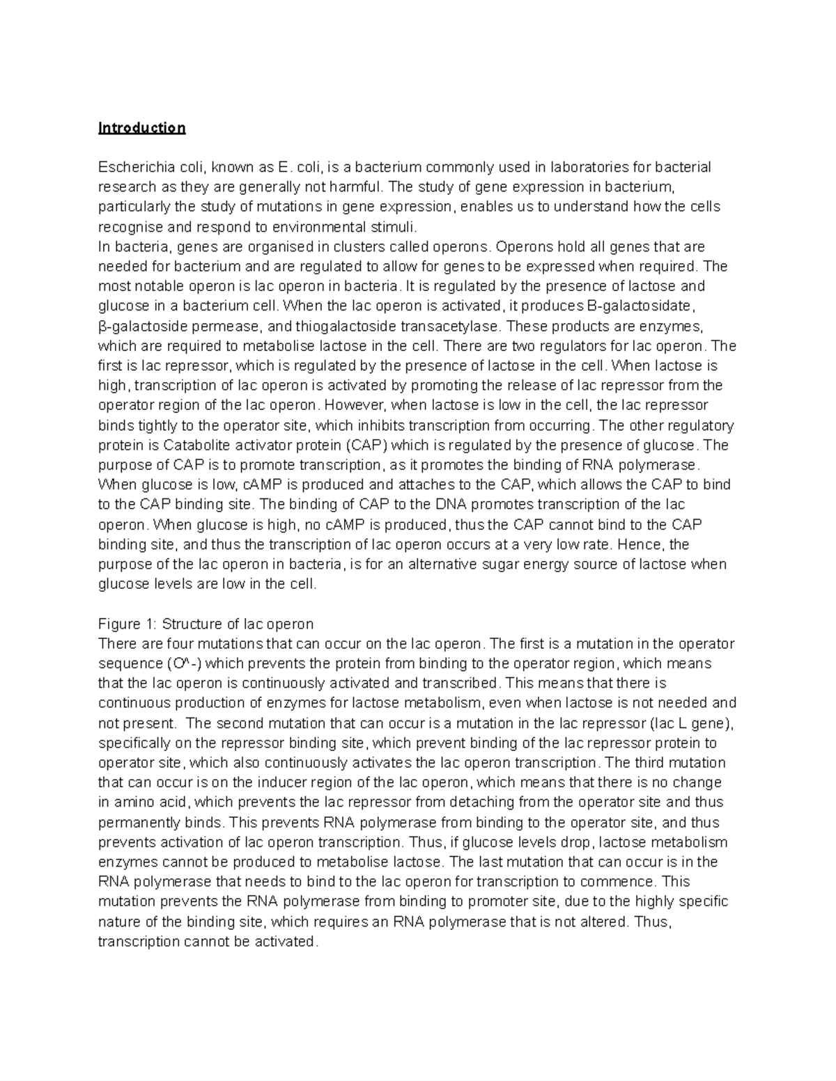 BIOC Report Draft - Google Docs - Introduction Escherichia coli, known ...