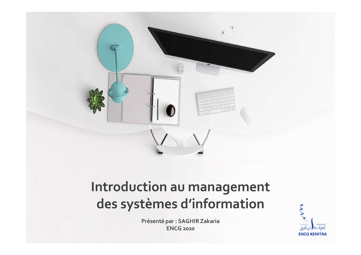 P1-Introduction Au Management Des Systèmes D’information - Warning: TT ...