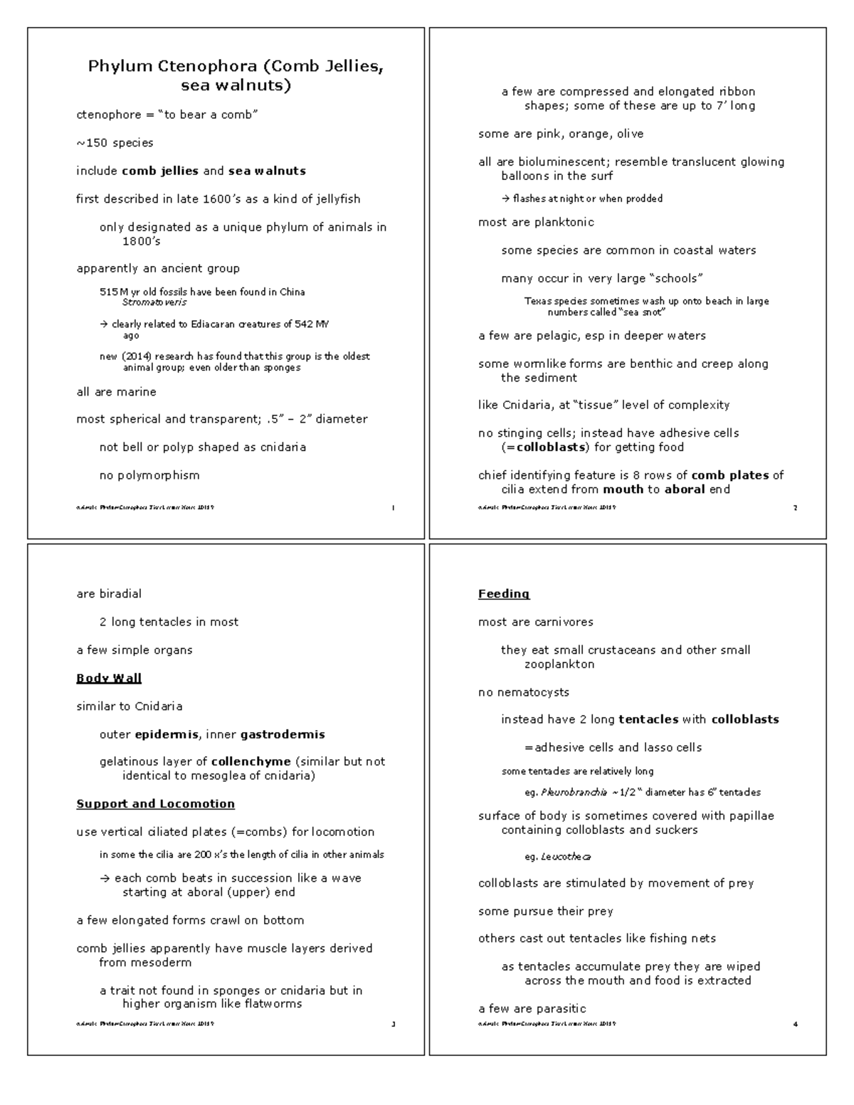Phylum Ctenophora - General Zoology Lecture Notes and Handout - Animals ...