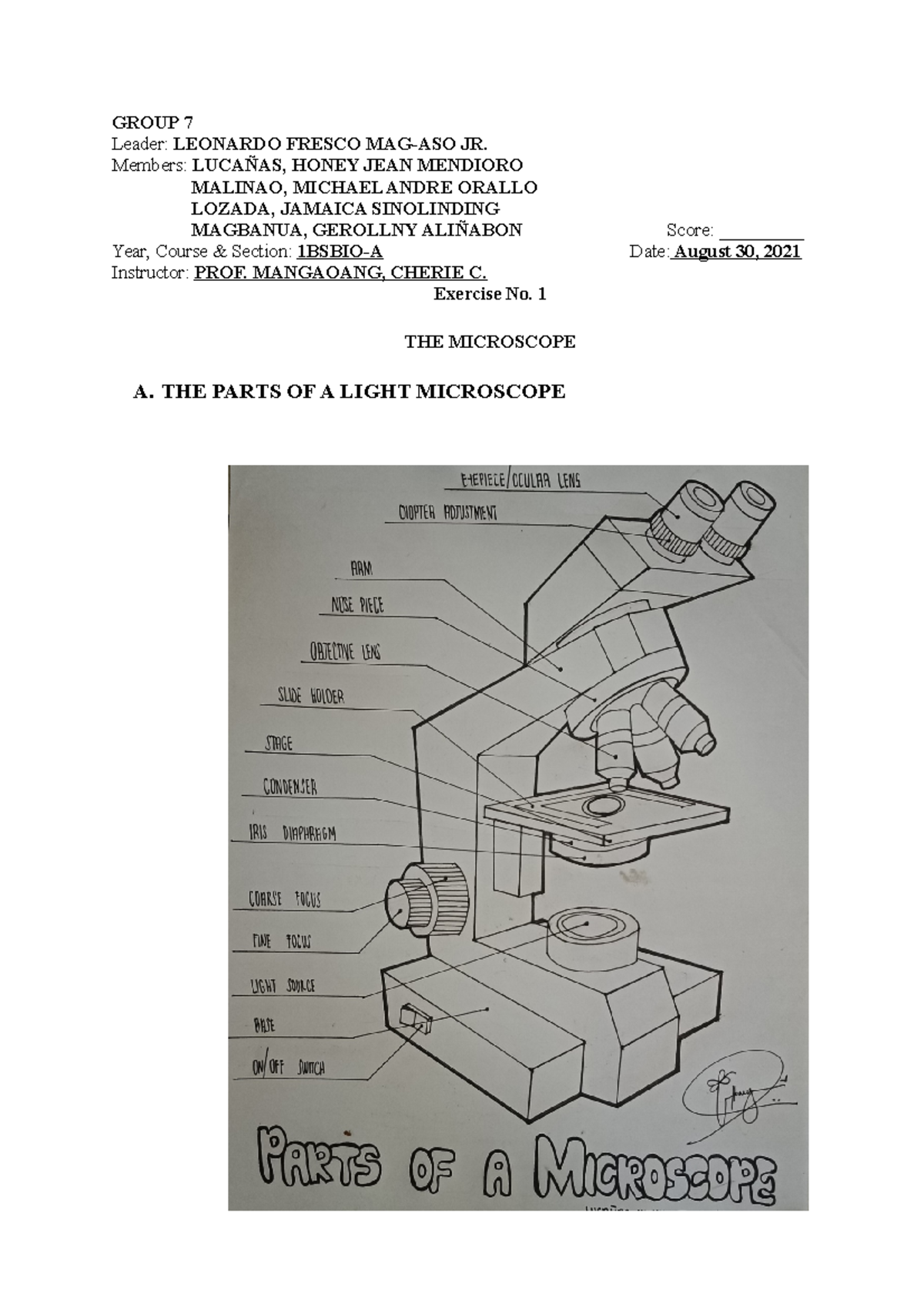 ( Laboratory Activity 1) PARTS OF THE MICROSCOPE BS Biology USM