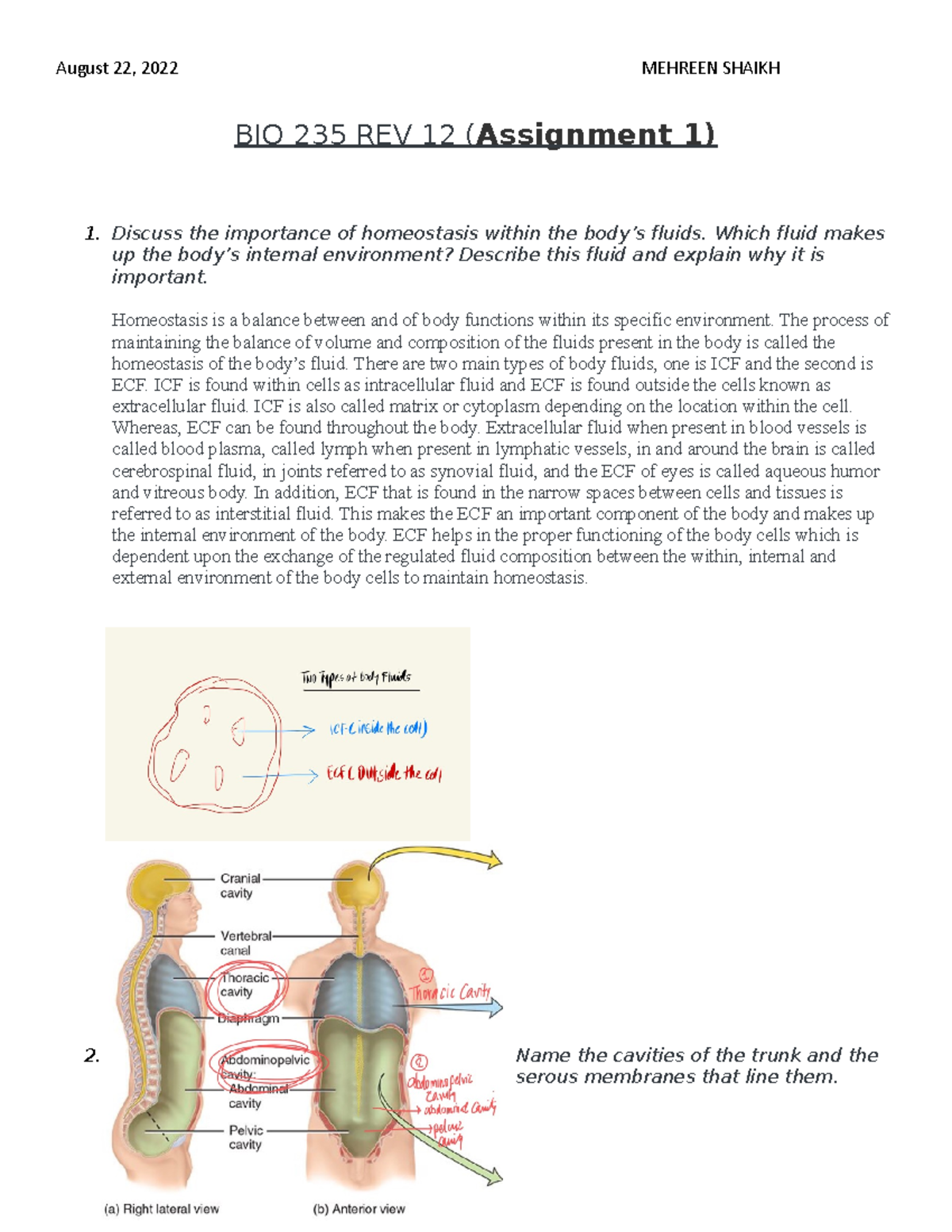 biol 235 assignment 1