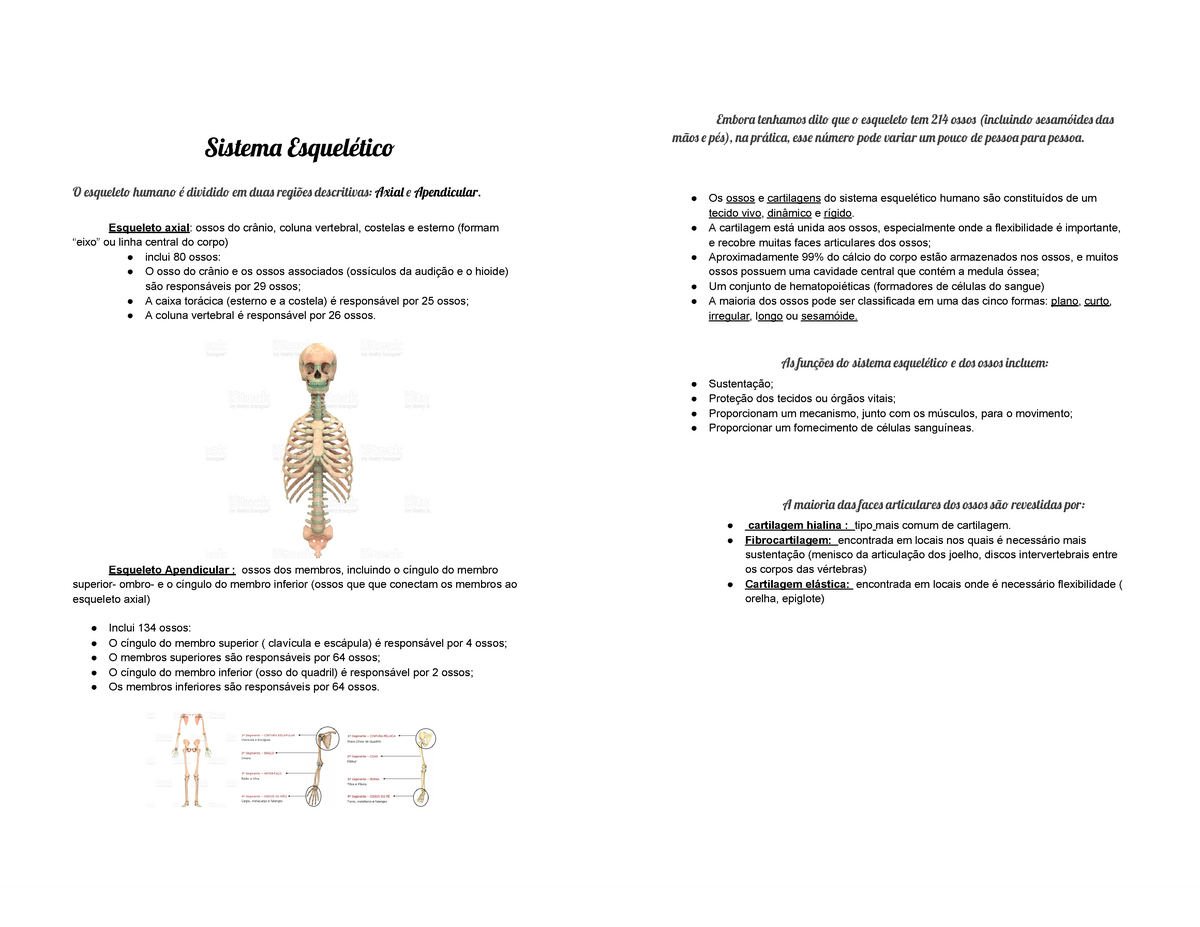 Sistema Esquelético - Esqueleto Sistema Esquelético INTRODUÇÃO AO O  esqueleto axial : O esqueleto - Studocu