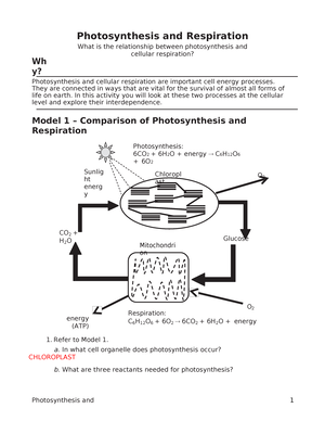 Assignment #15 The absorption of chlorophyll - Assignment # - Studocu