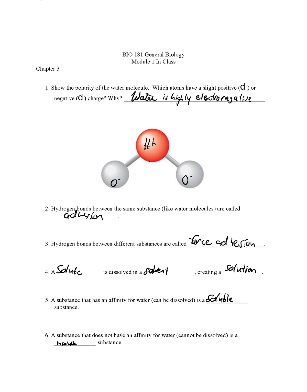 Jbarnard BIO 181 IC CH3 - chapter 3 - BIO 181 General Biology Module 1 ...